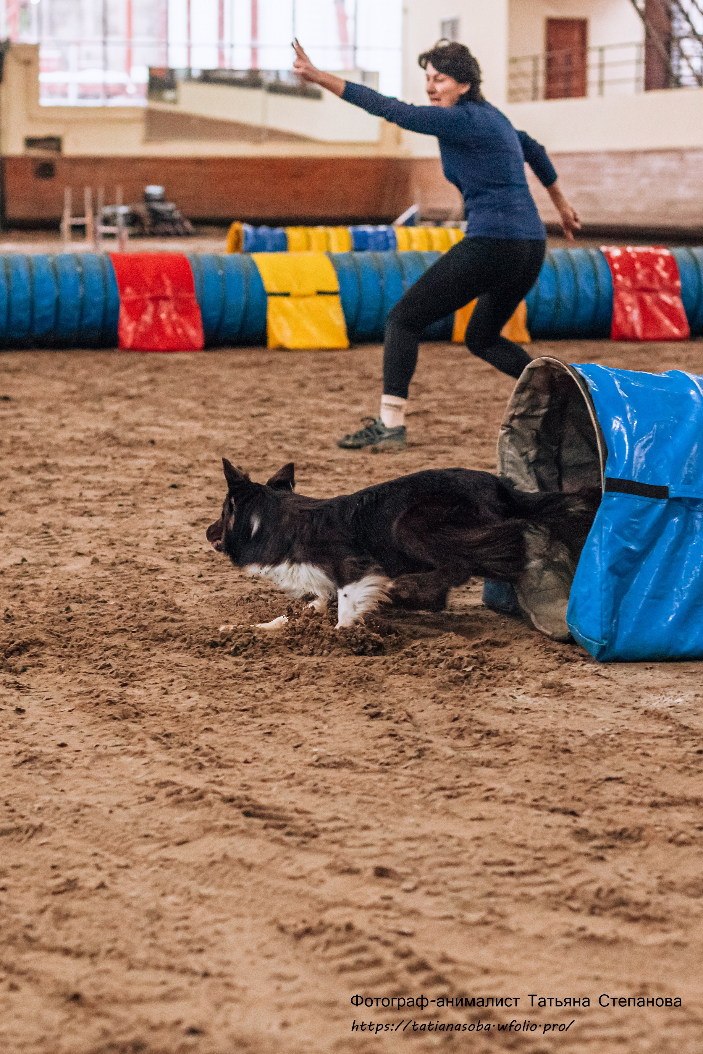 Соревнования по Аджилити 25.02.2024. Фотограф-анималист Татьяна Степанова