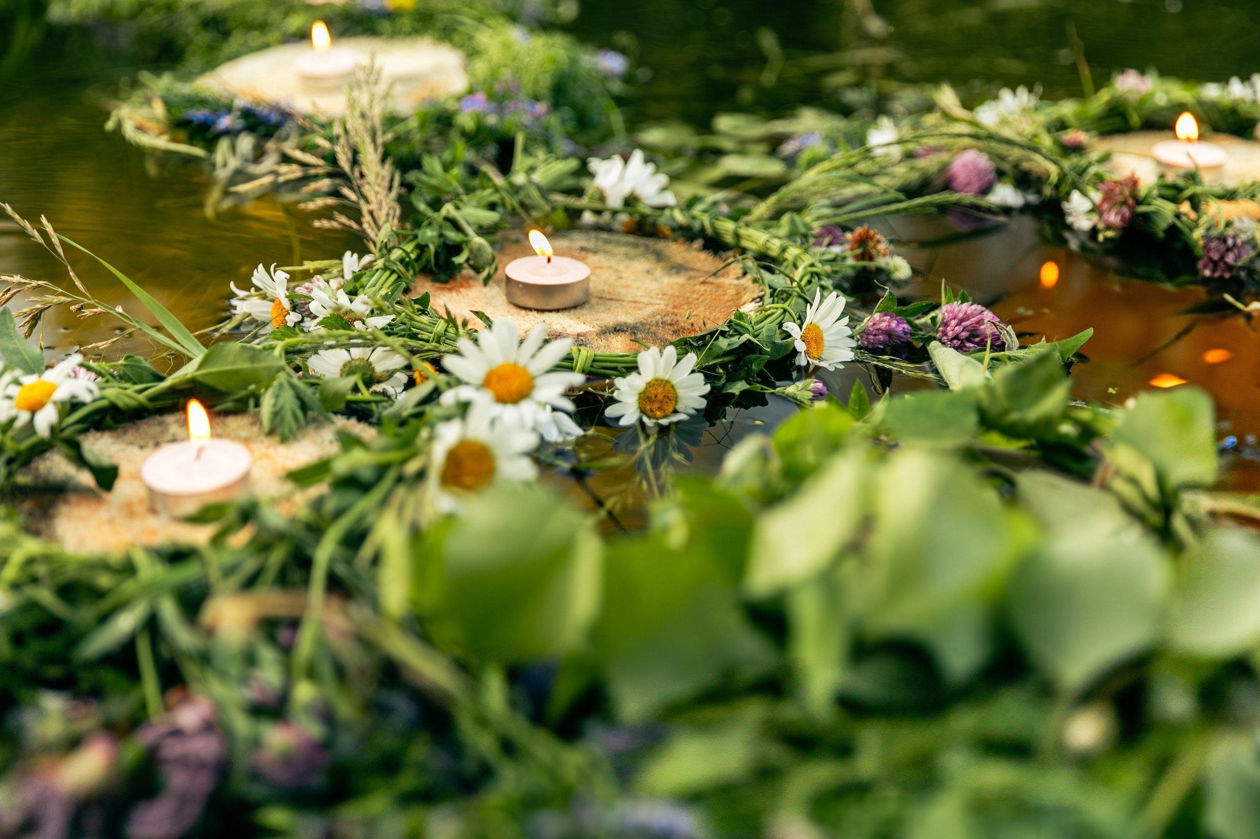 Главная. Фотограф Елена Вишневская (Ушакова) Нефтеюганск, Сургут, Тюмень