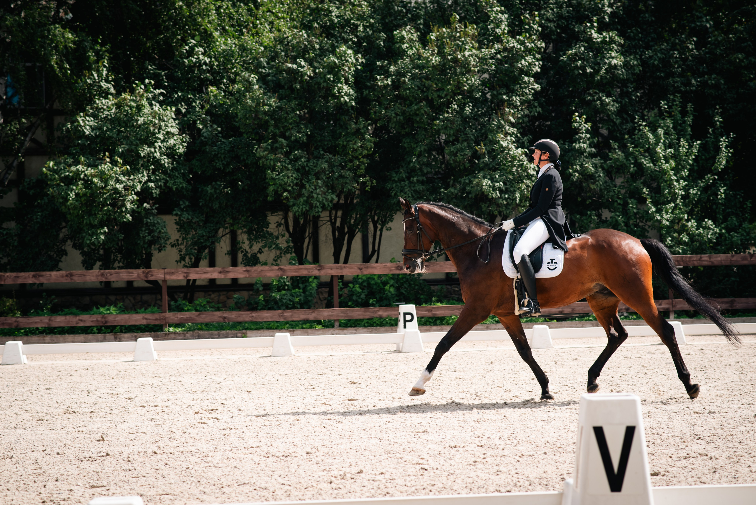 Выездка 10.08.25. Фотограф, визажист. Москва