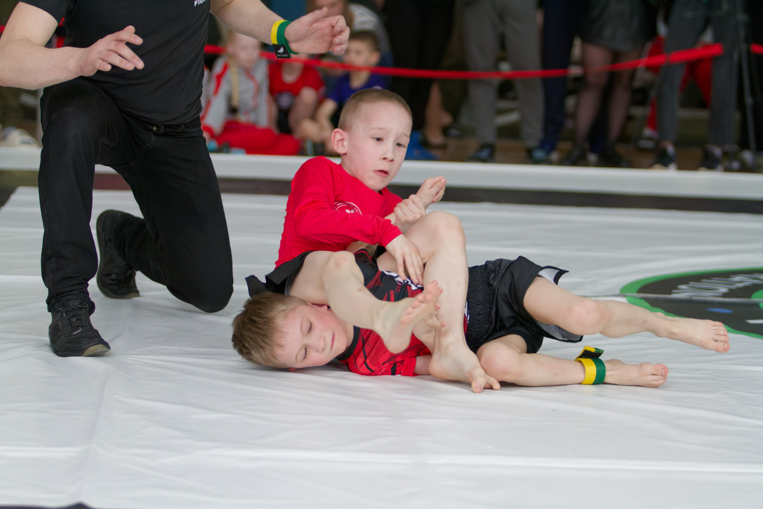 Борьба. Джиу-джитсу 26.04.2025. Репортажный и спортивный фотограф в г. Пермь Зильберг Павел