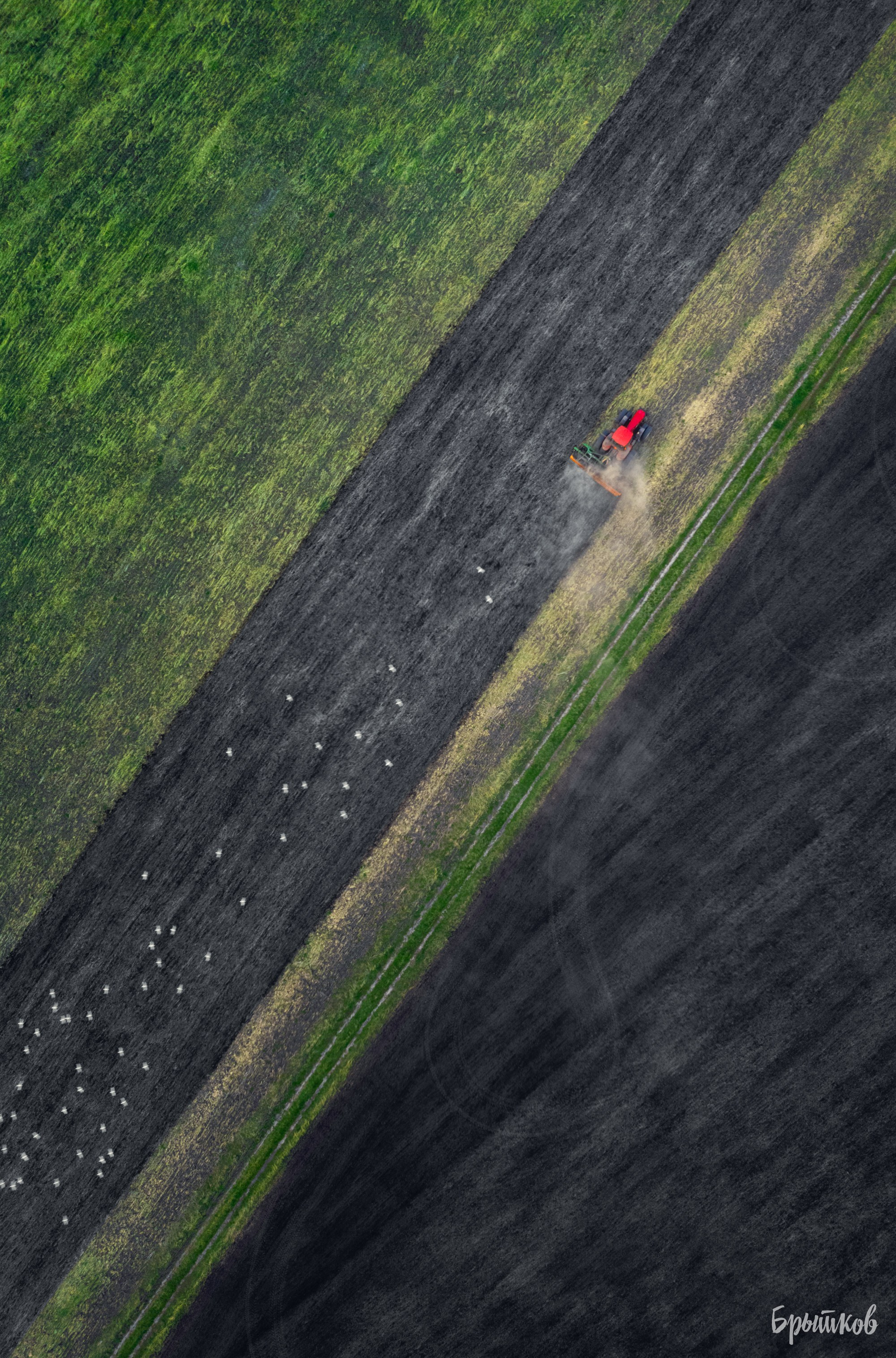 Селиваново. Николай Брытков — фотограф в Туле
