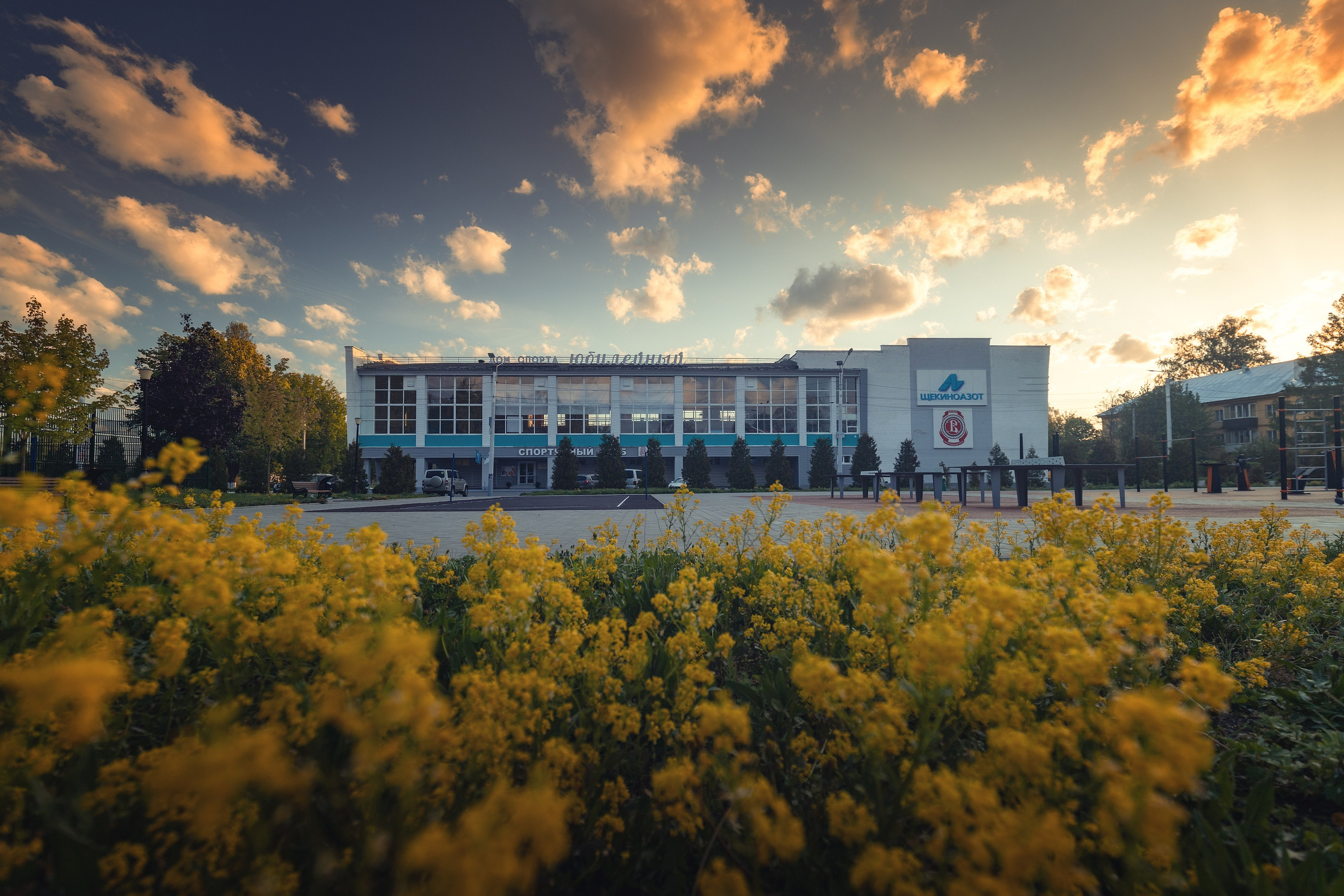Первомайский парк. Николай Брытков — фотограф в Туле