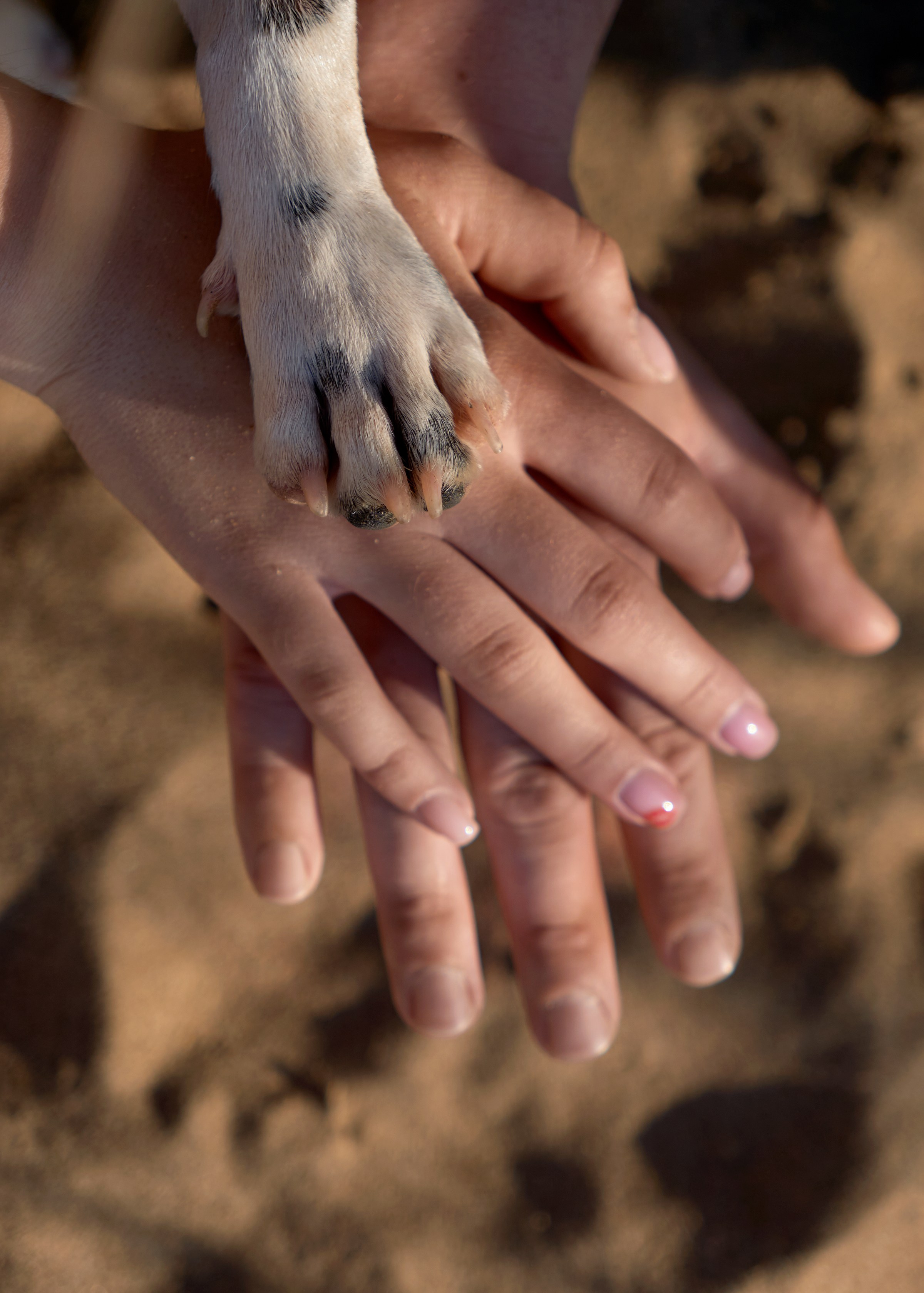 Никита & Дарья. Фотограф в Санкт-Петербурге Цуркан Алёна