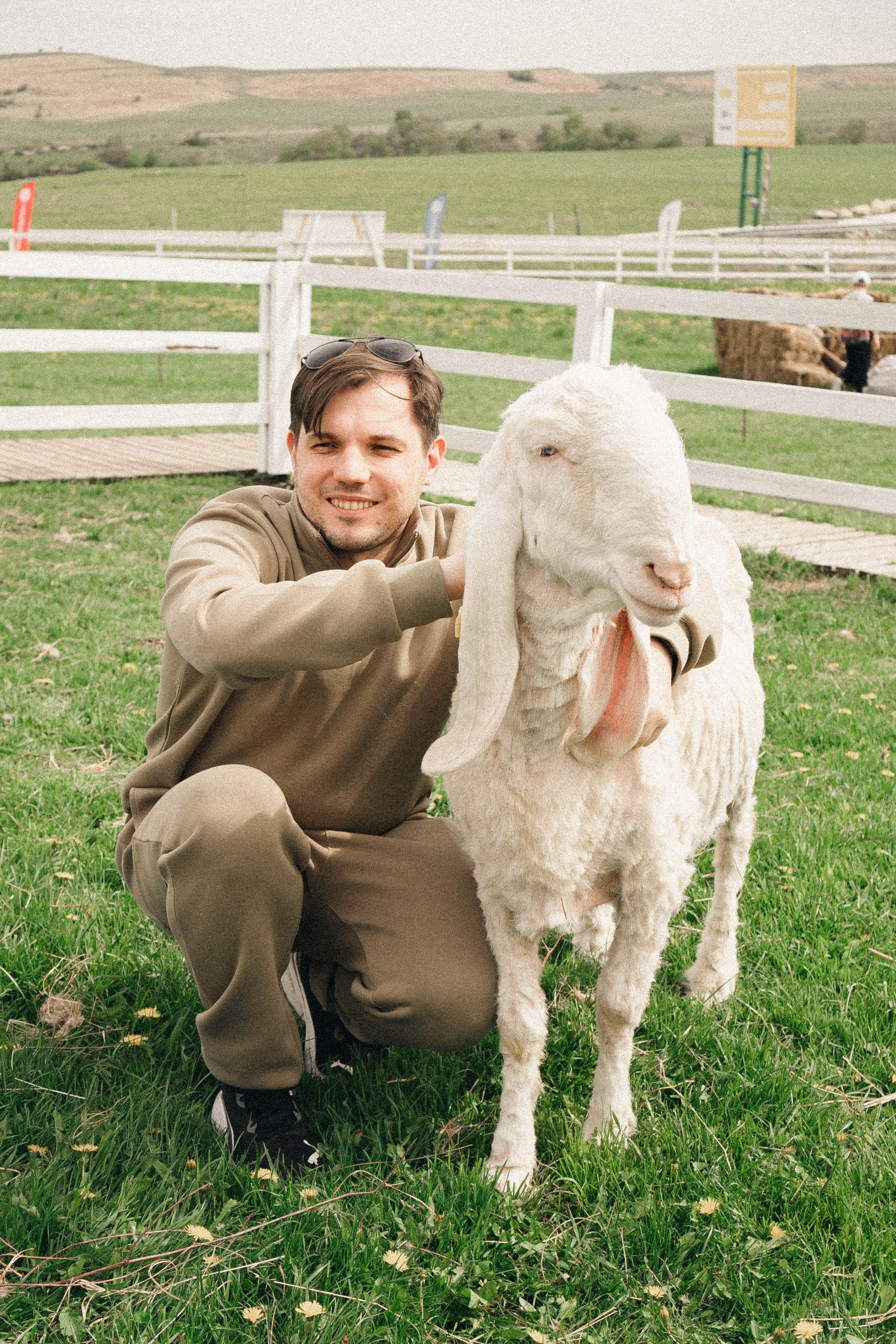 Ферма Альпак. Профессиональный фотограф, Санкт-Петербург — Виктория Богомолова