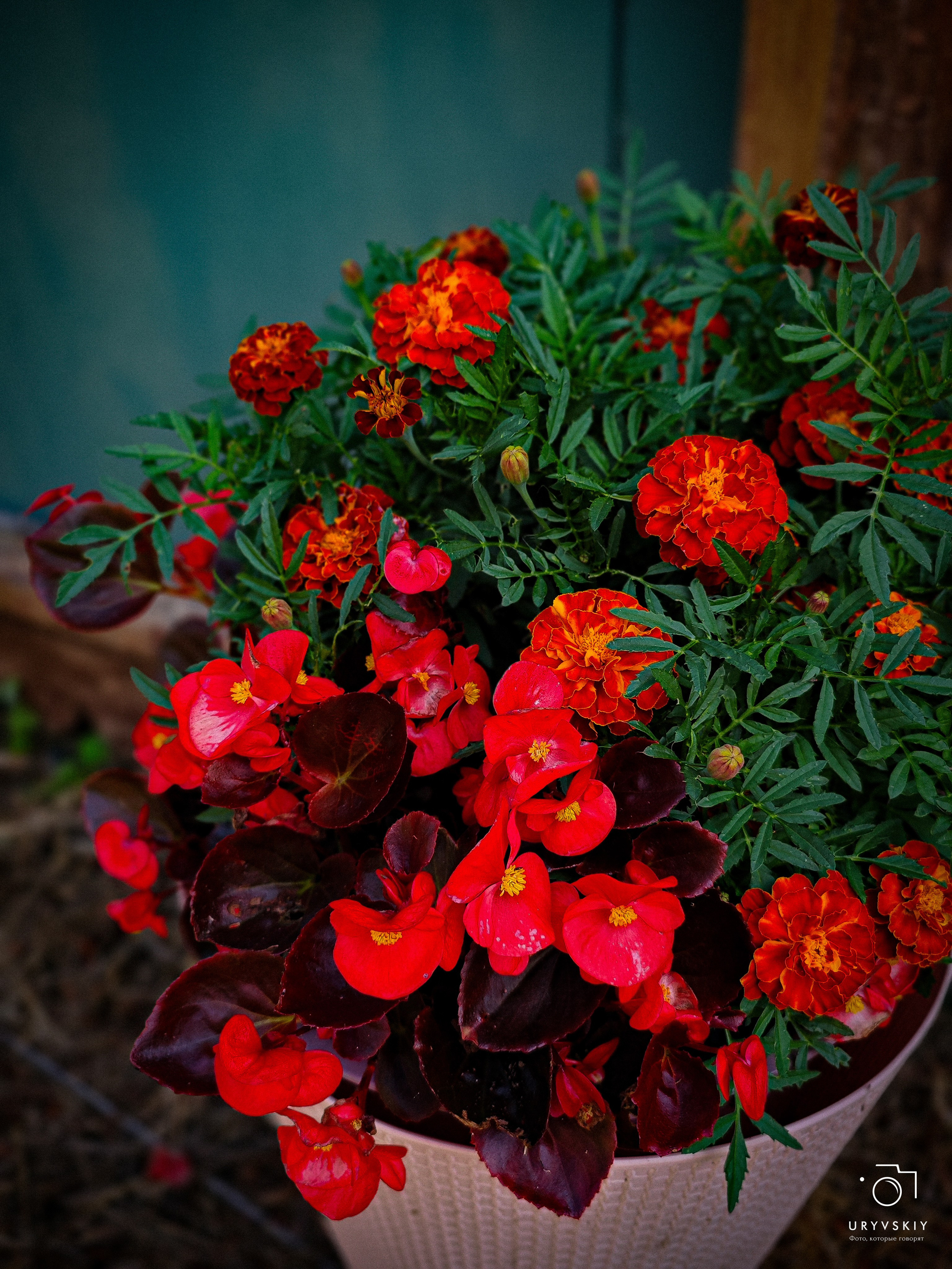 Арт пространство «Хлебзавод». Игорь Урывский. Фотограф Красноярск