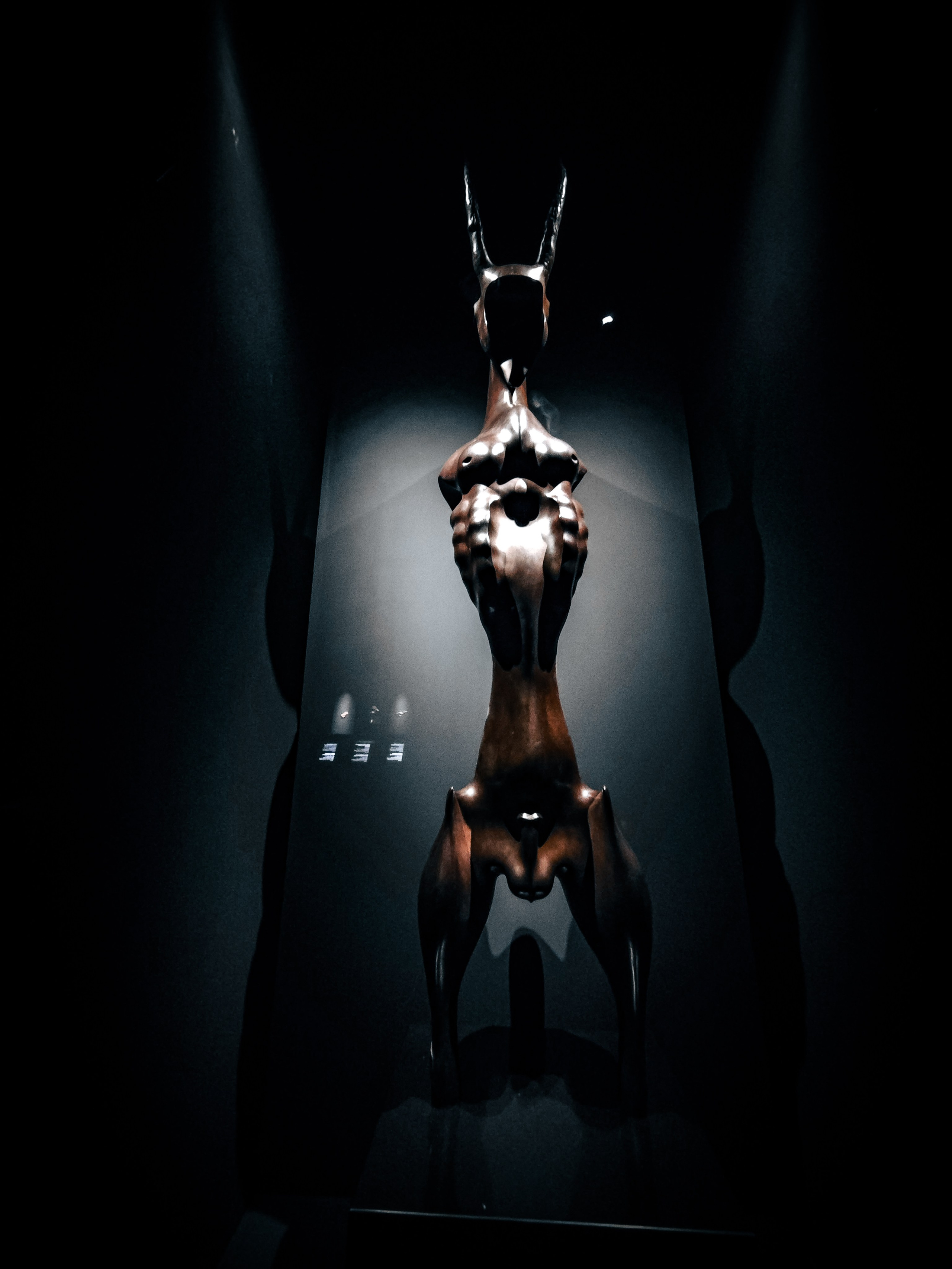 Выставка «Сны Сибири». Игорь Урывский. Фотограф Красноярск