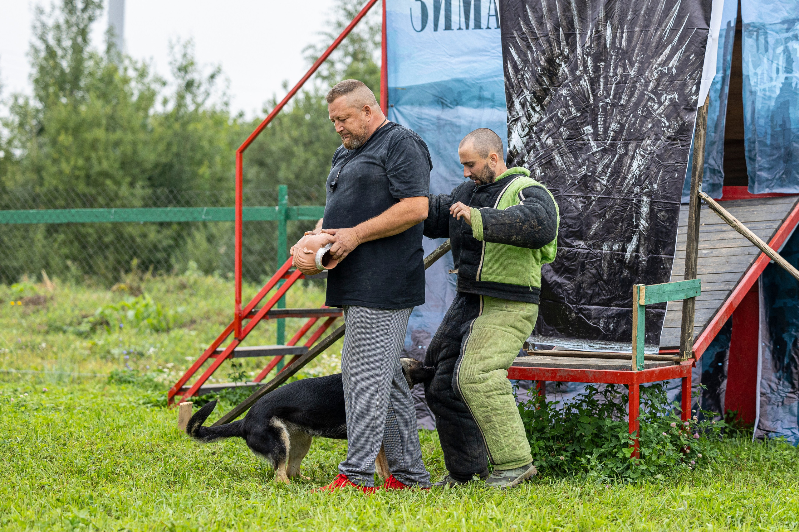 Соревнования по Мондьорингу г. Вологда 10-11.08.2024. Фотограф-анималист Анна Маринич