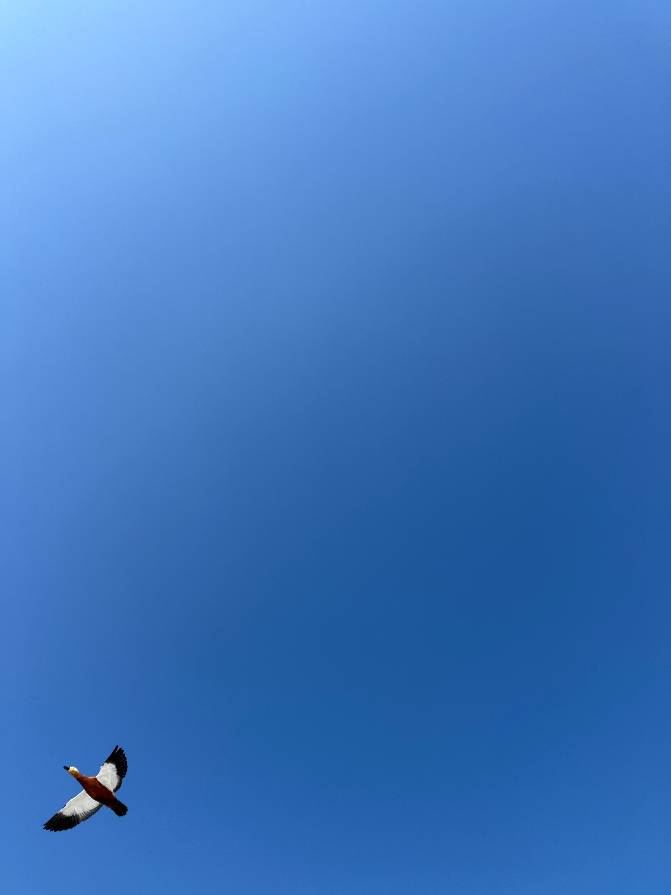 Страничка фотографа Димы Антонова