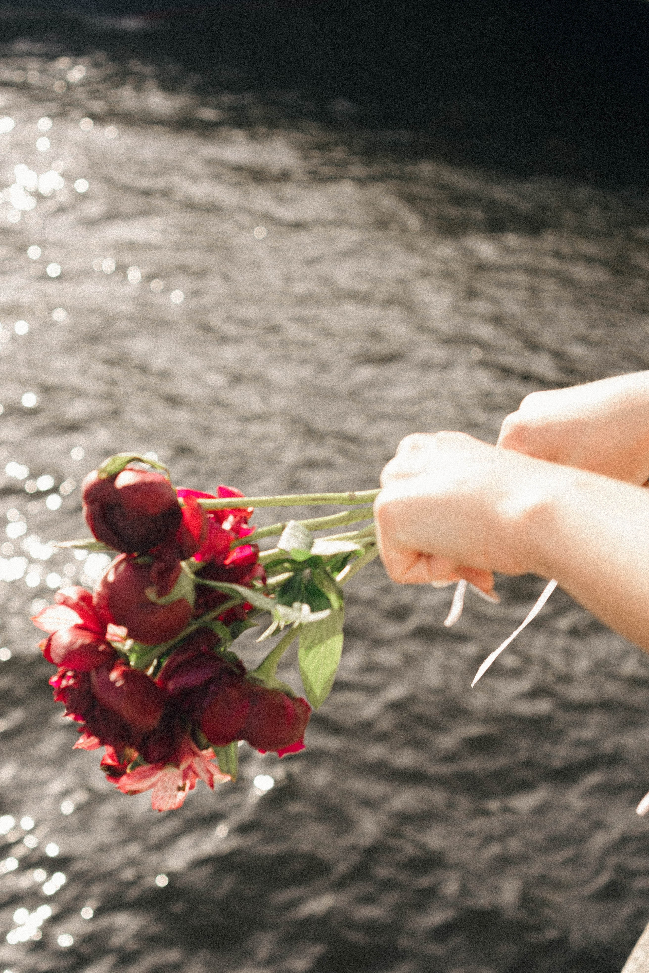Крыши питера. Профессиональный фотограф, Санкт-Петербург — Виктория Богомолова