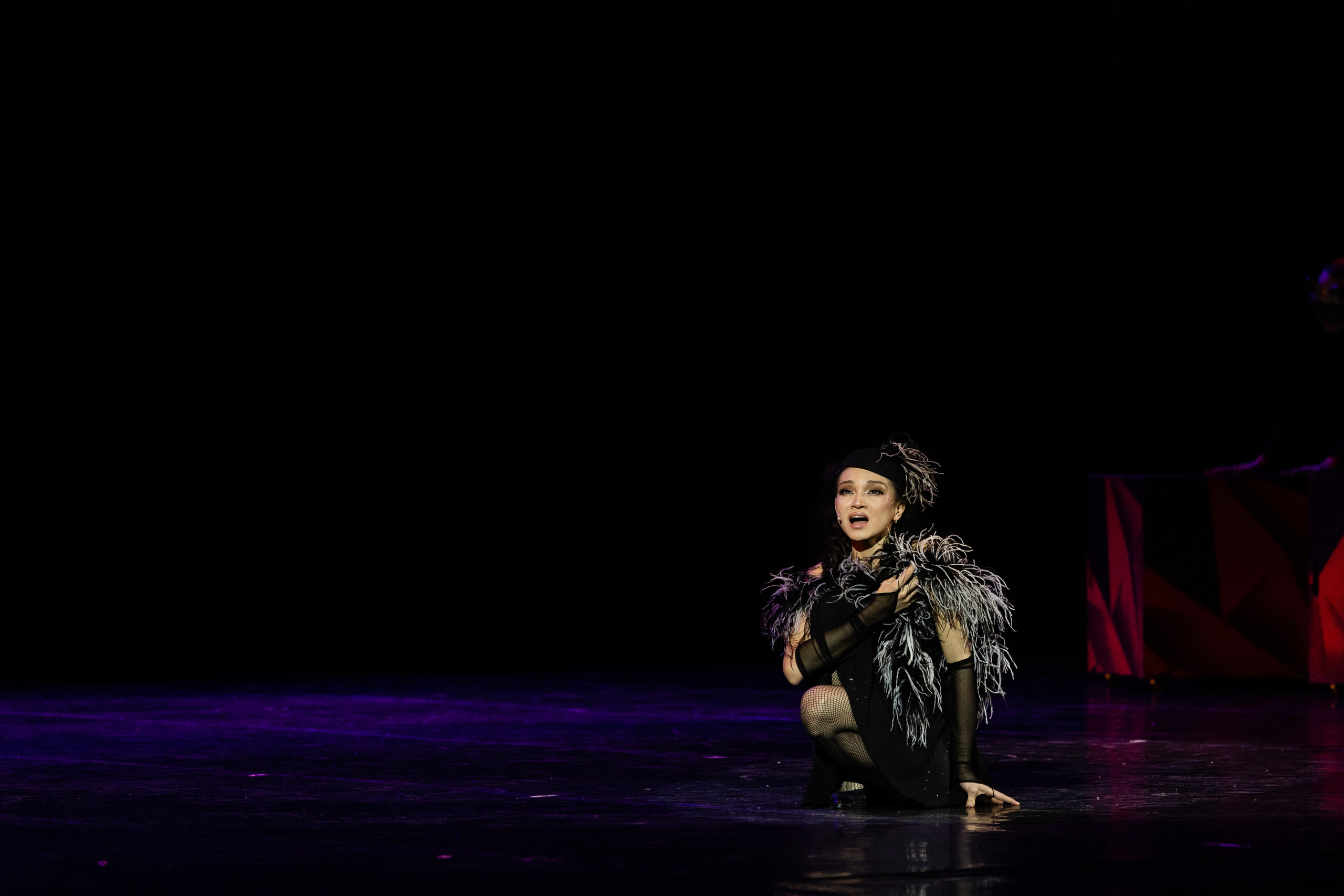 Звезду заказывали. Мюзик-Холл. Фотограф в Санкт-Петербурге Закута Ольга