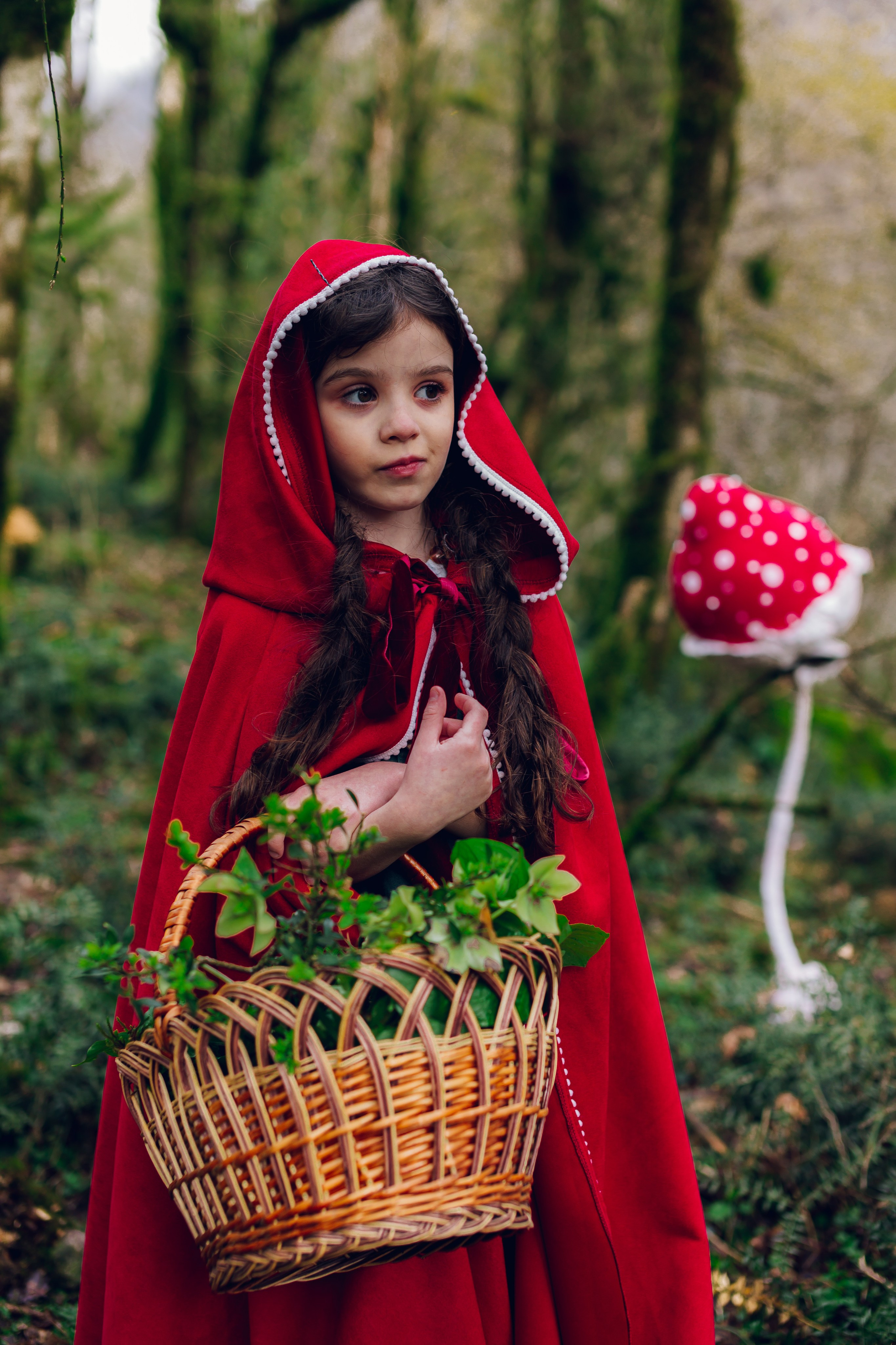 Самшитовая роща. Семейный и художественный фотограф в Тюмени Юлия Логинова