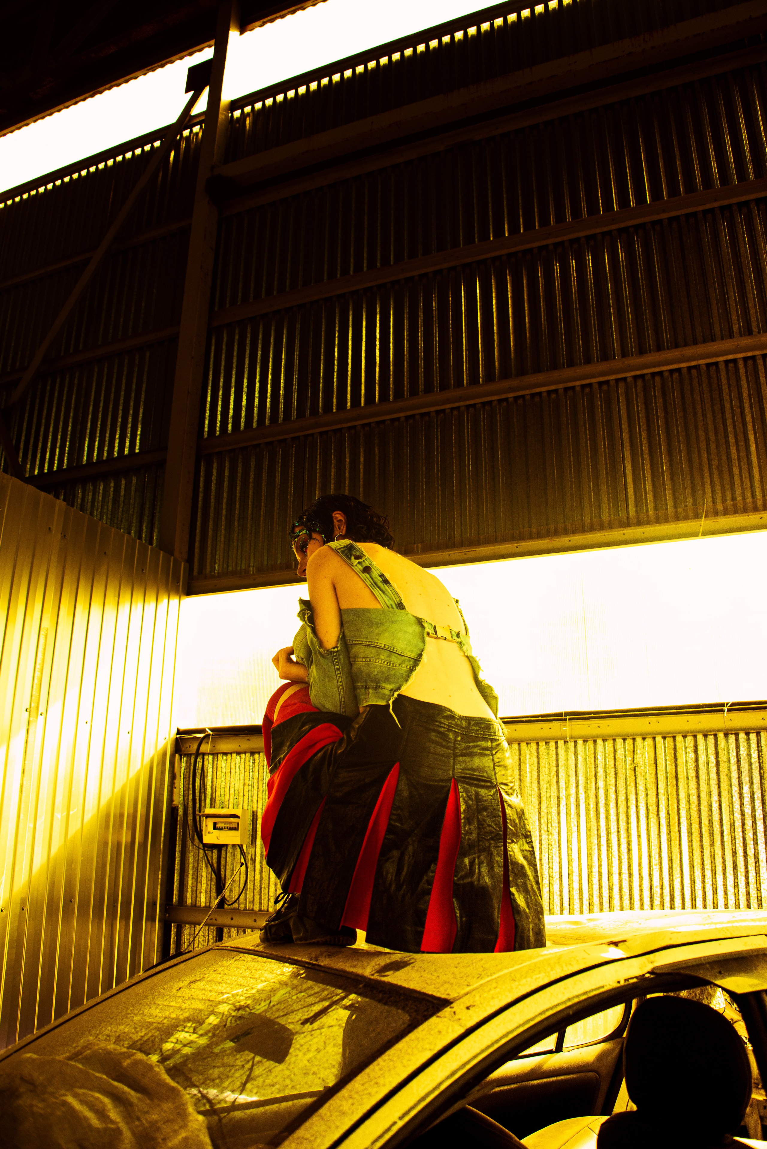 PROMESA. Visual Creator Paulina Gonsales