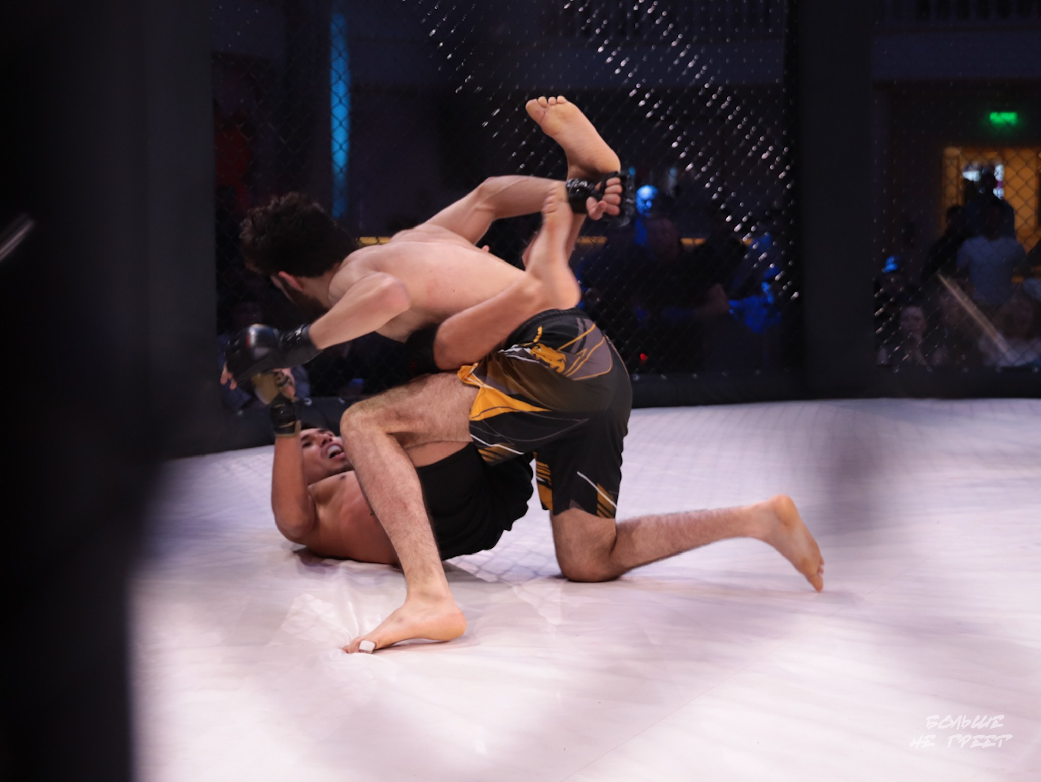 SABR FIGHTING. Больше не греет