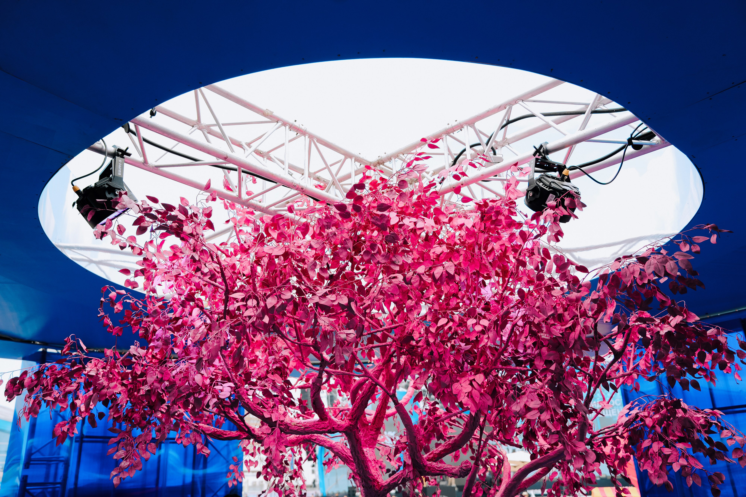 OZON x VK FEST. Репортажный фотограф Зуев Роман г. Челябинск