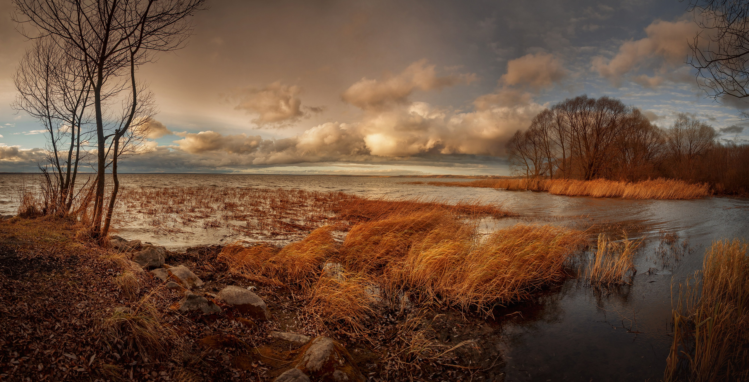 Пейзаж. Детская Конная фотография в Москве Юлия Шепелева