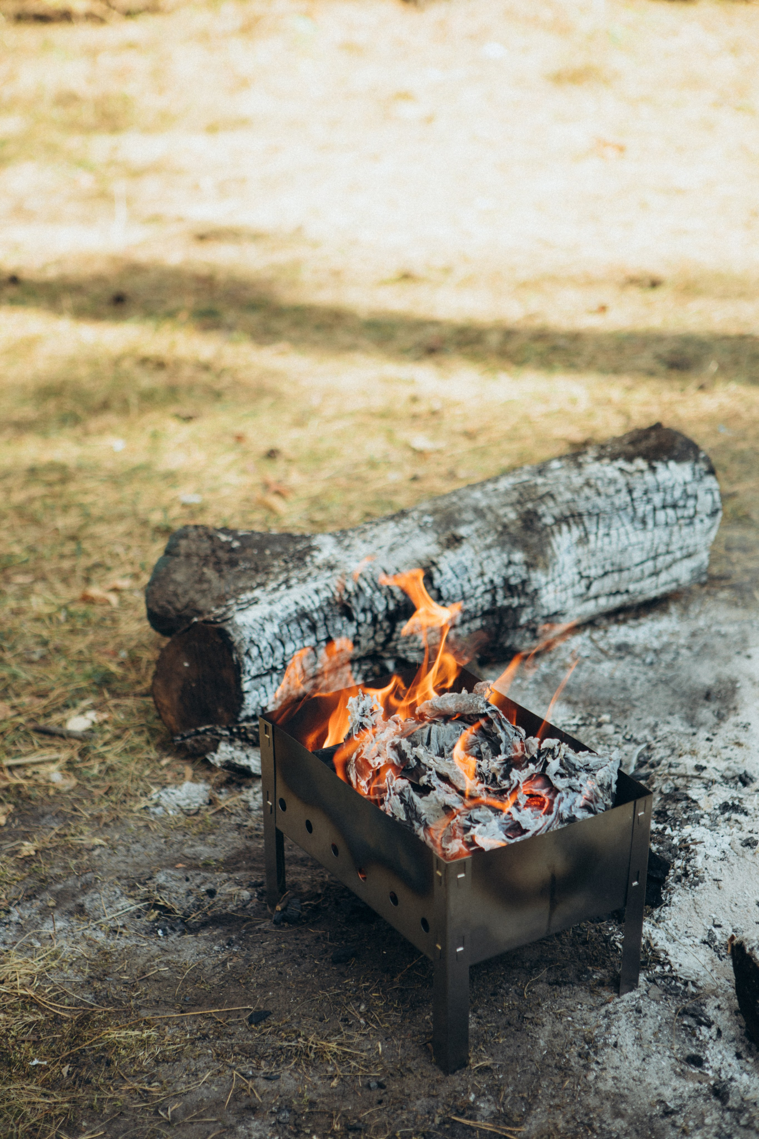 Лес. Семейный и репортажный фотограф в Орле