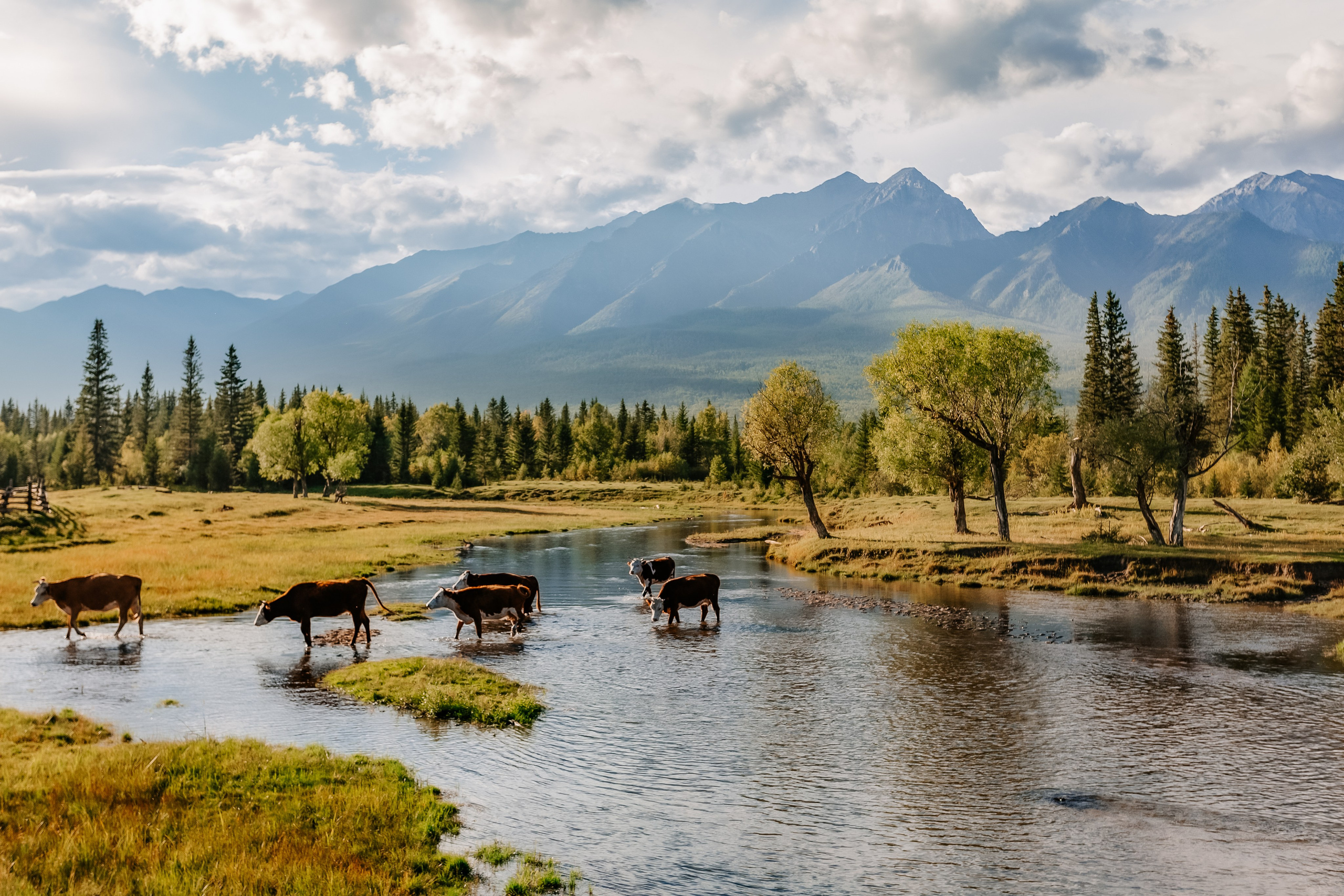 Тункинский национальный парк, Республика Бурятия. Репортажный фотограф в Крыму Ксения Гасица