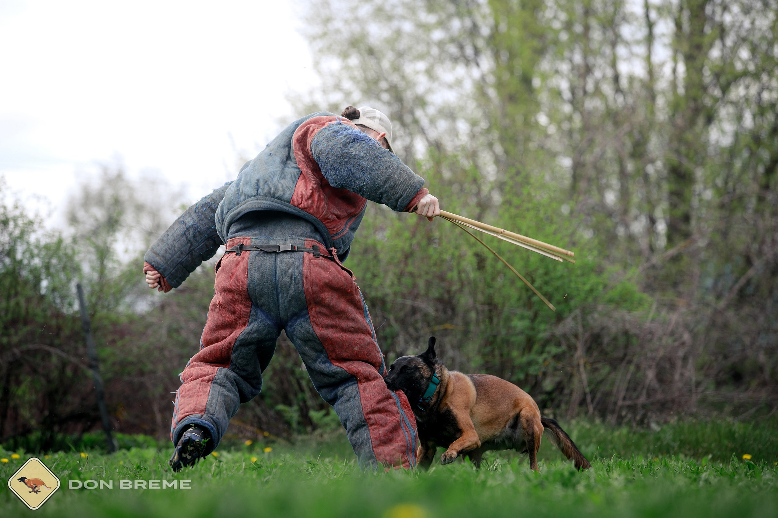 Семинар для фигурантов, день 2. Фотограф-анималист Mary Mart — Москва, Питер