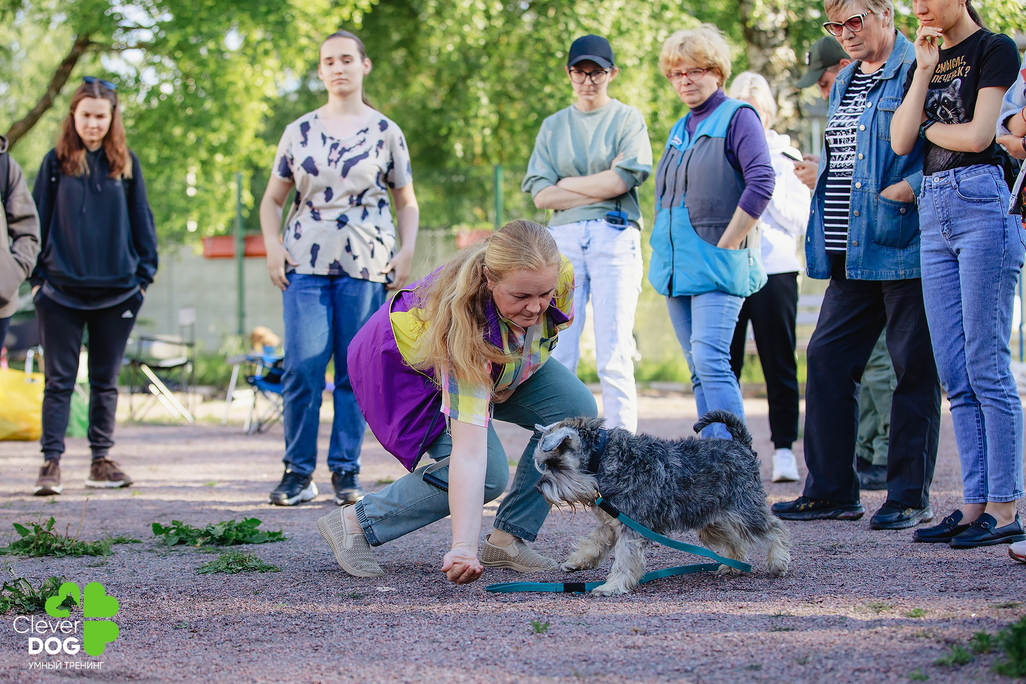 Семинар по поиску запаха с Иваном Ломовым, организатор CleverDog, СПб. Фотограф-анималист Mary Mart — Москва, Питер