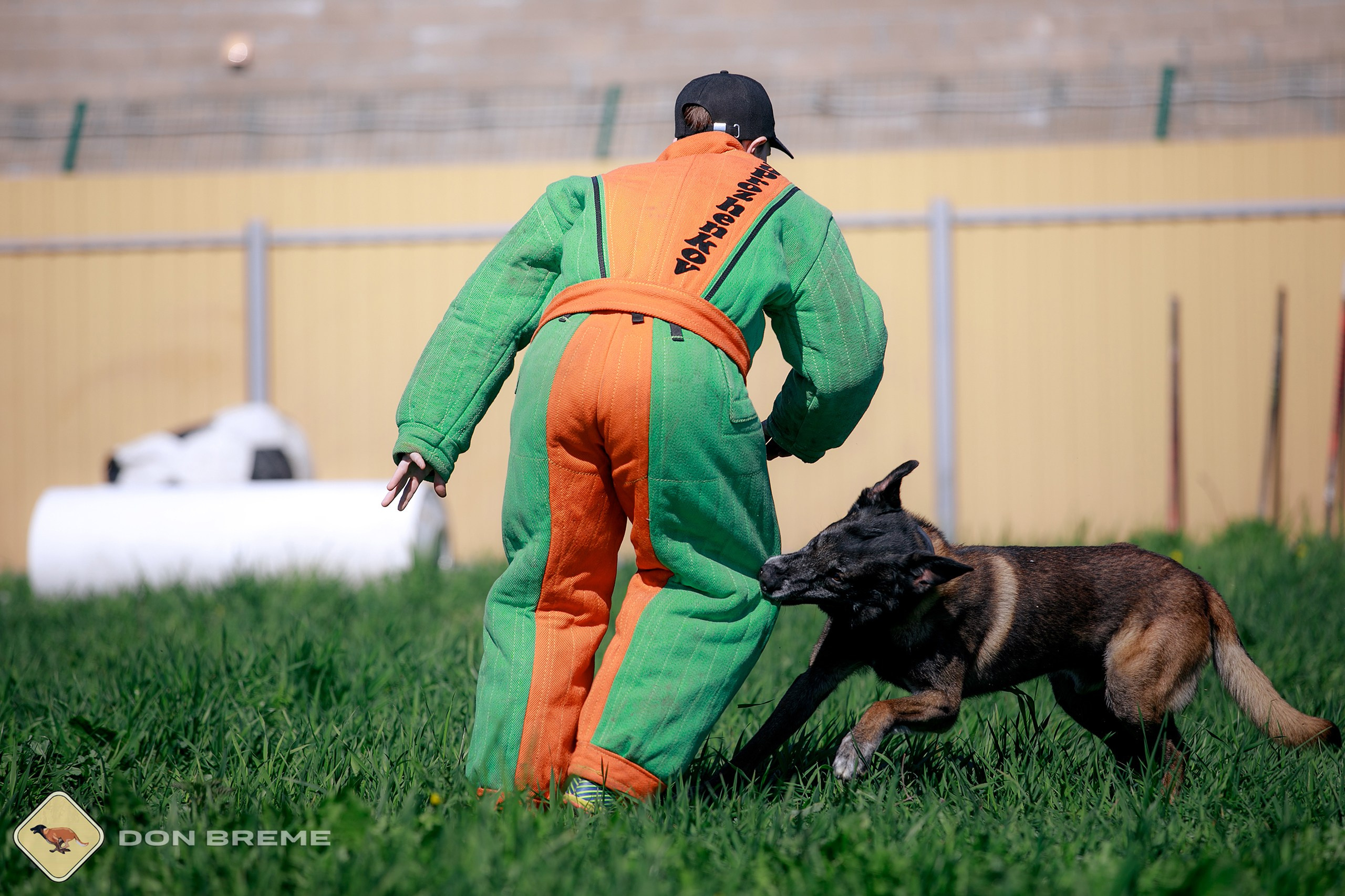 Семинар для фигурантов, день 3. Фотограф-анималист Mary Mart — Москва, Питер