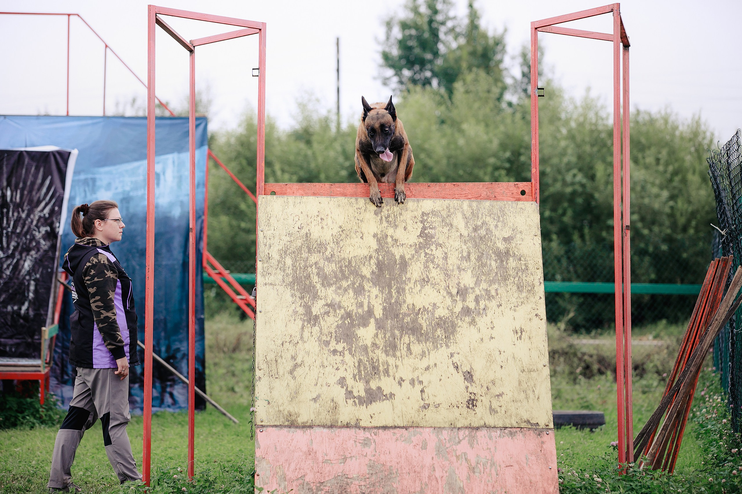 Мондьоринг М1, М2, М3, Вологда. Фотограф-анималист Mary Mart — Москва, Питер