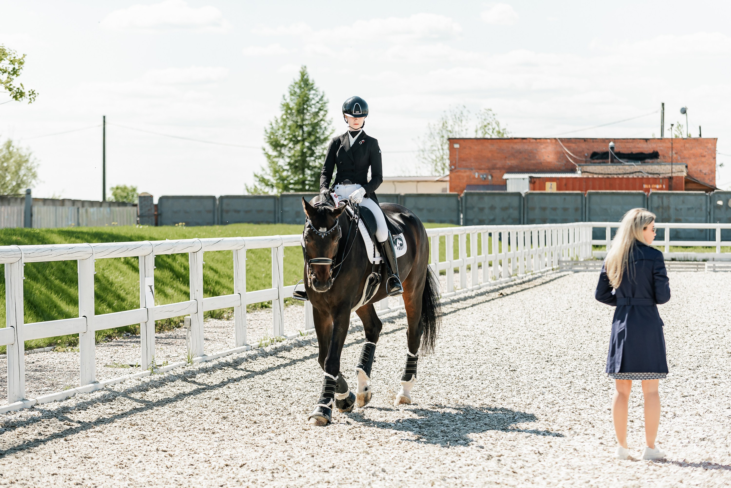 РЕПОРТАЖ МКК ВОЛЬТ «LA TULIPS». Конный фотограф Куракина Дарья • Фотосессии с лошадьми