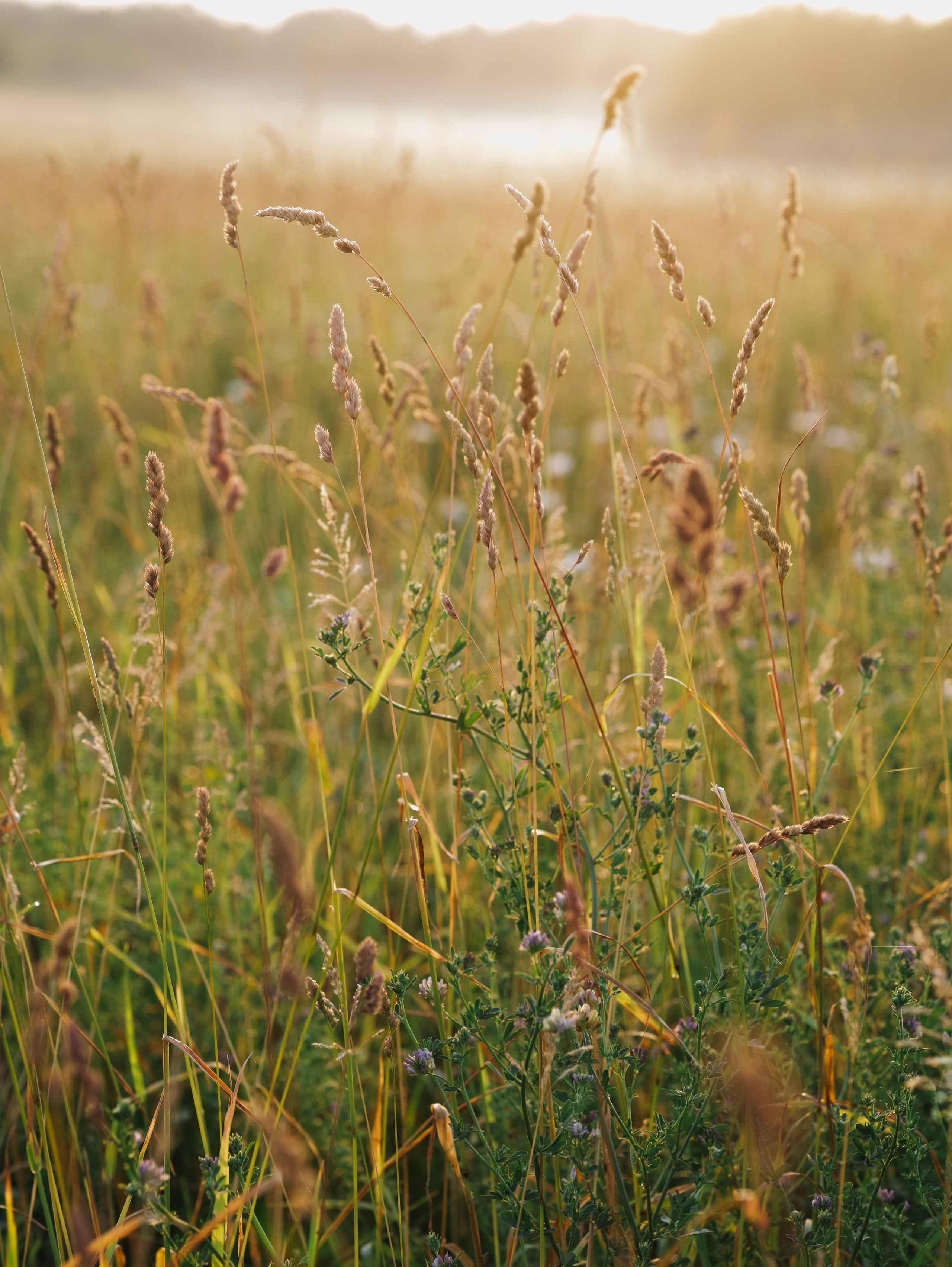 Матушка Софья. Алёна Стерхова — Предметный и портретный фотограф. Ижевск