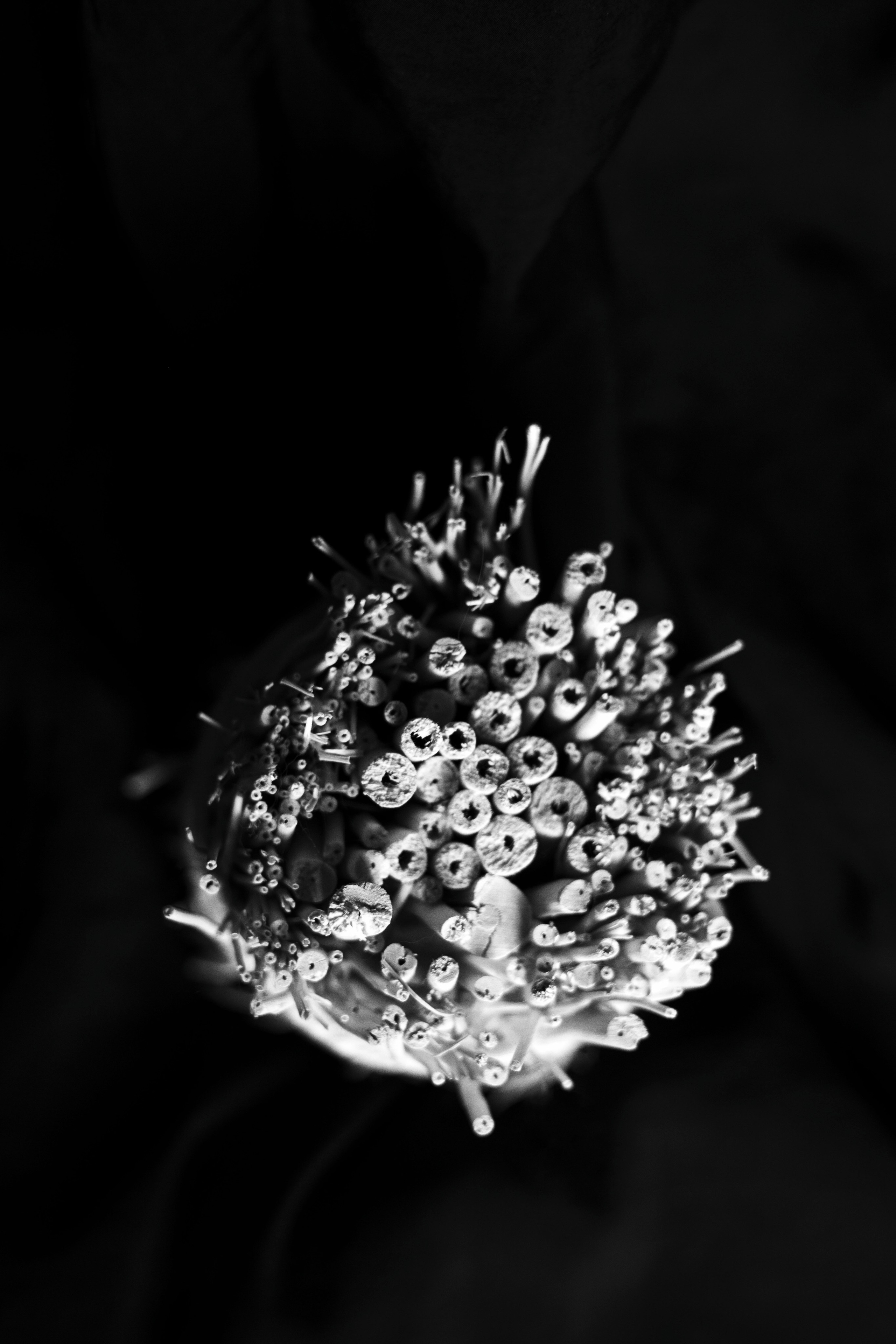 Разности. Портретный и семейный фотограф Санкт-Петербург