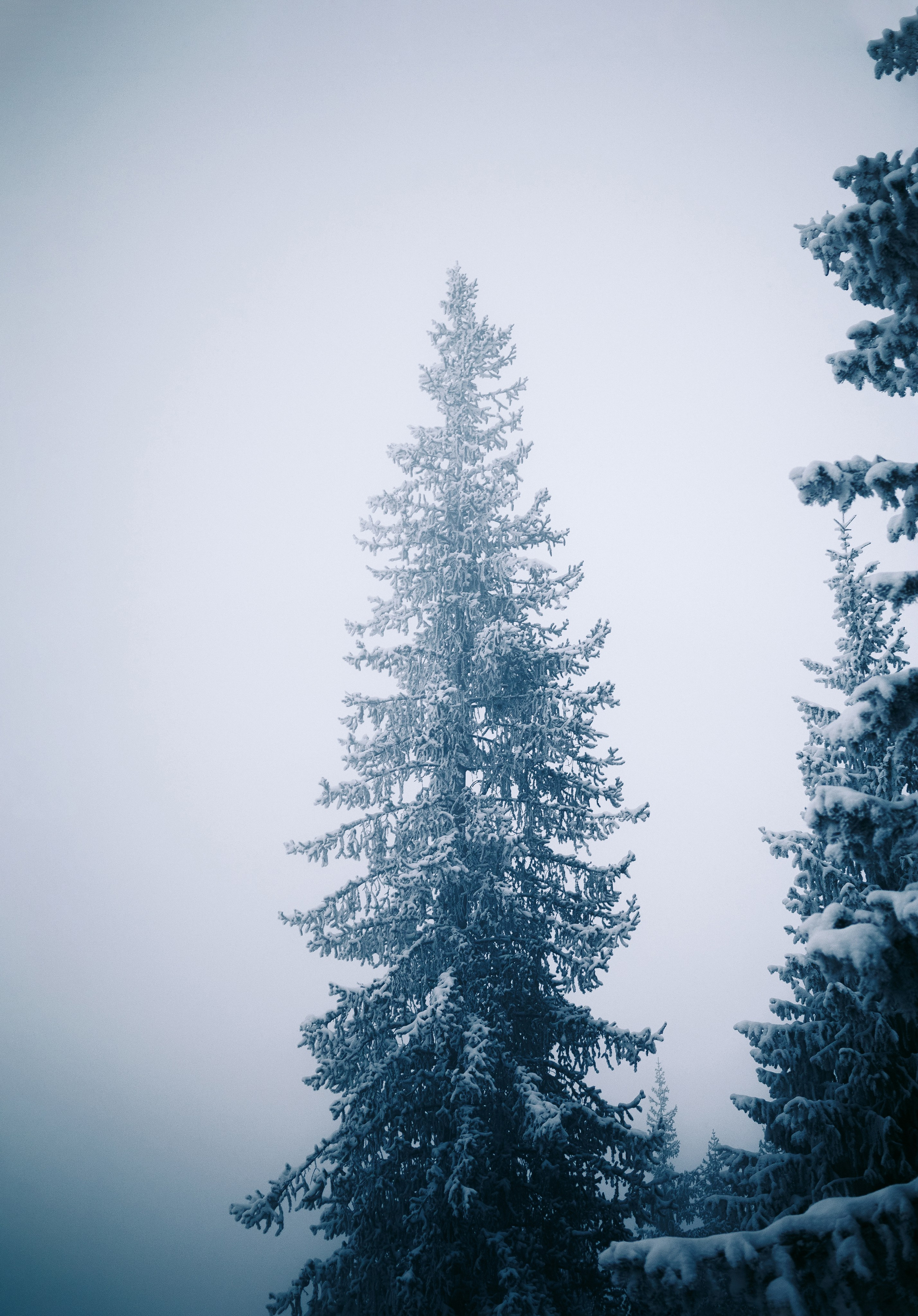 Жизнь. Фотограф Алматы | Весь мир — Никита Колодин