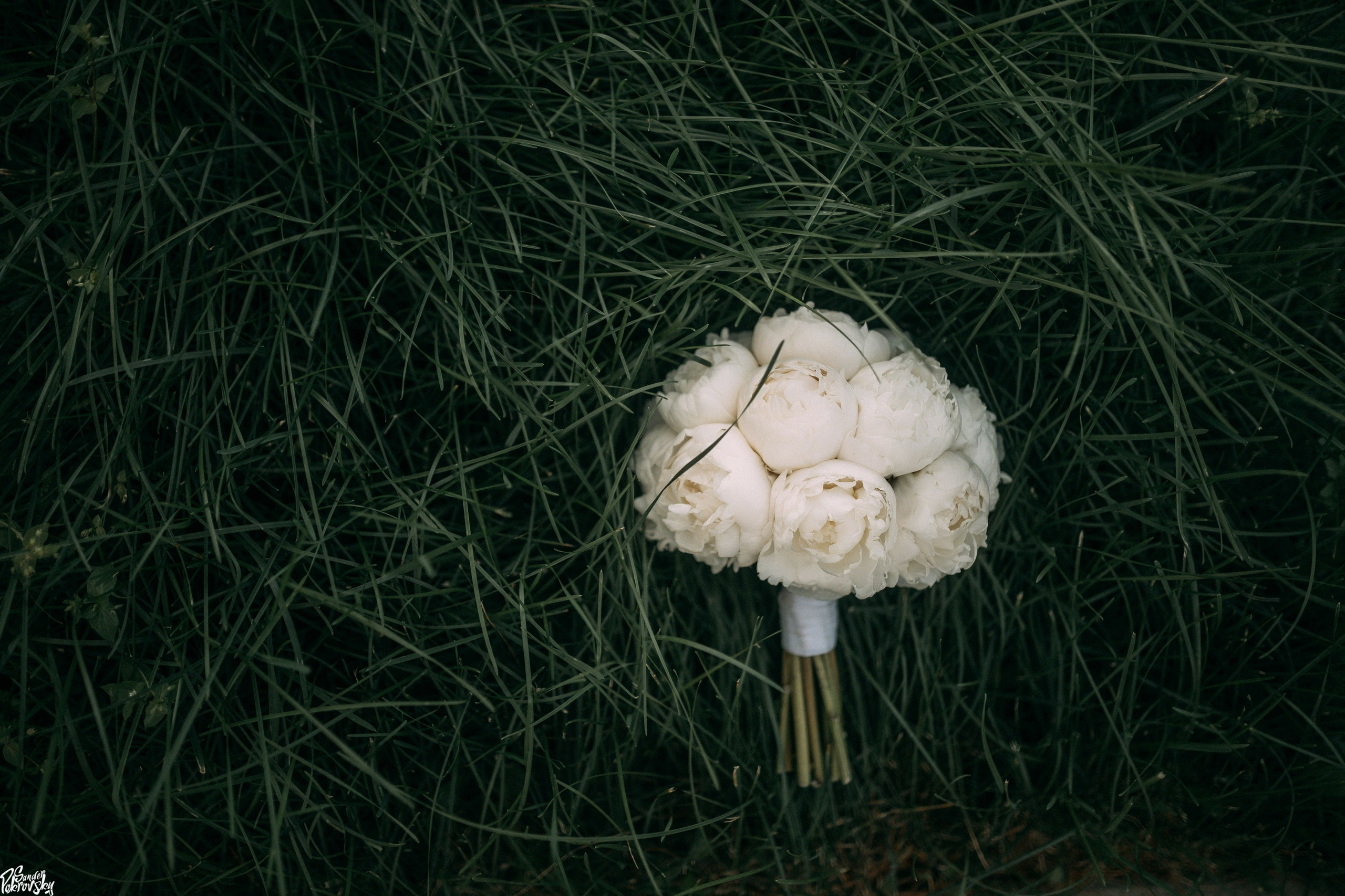 Артём & Настя 27.07.2023. Свадебный и репортажный фотограф в Чебоксарах Покровский Александр