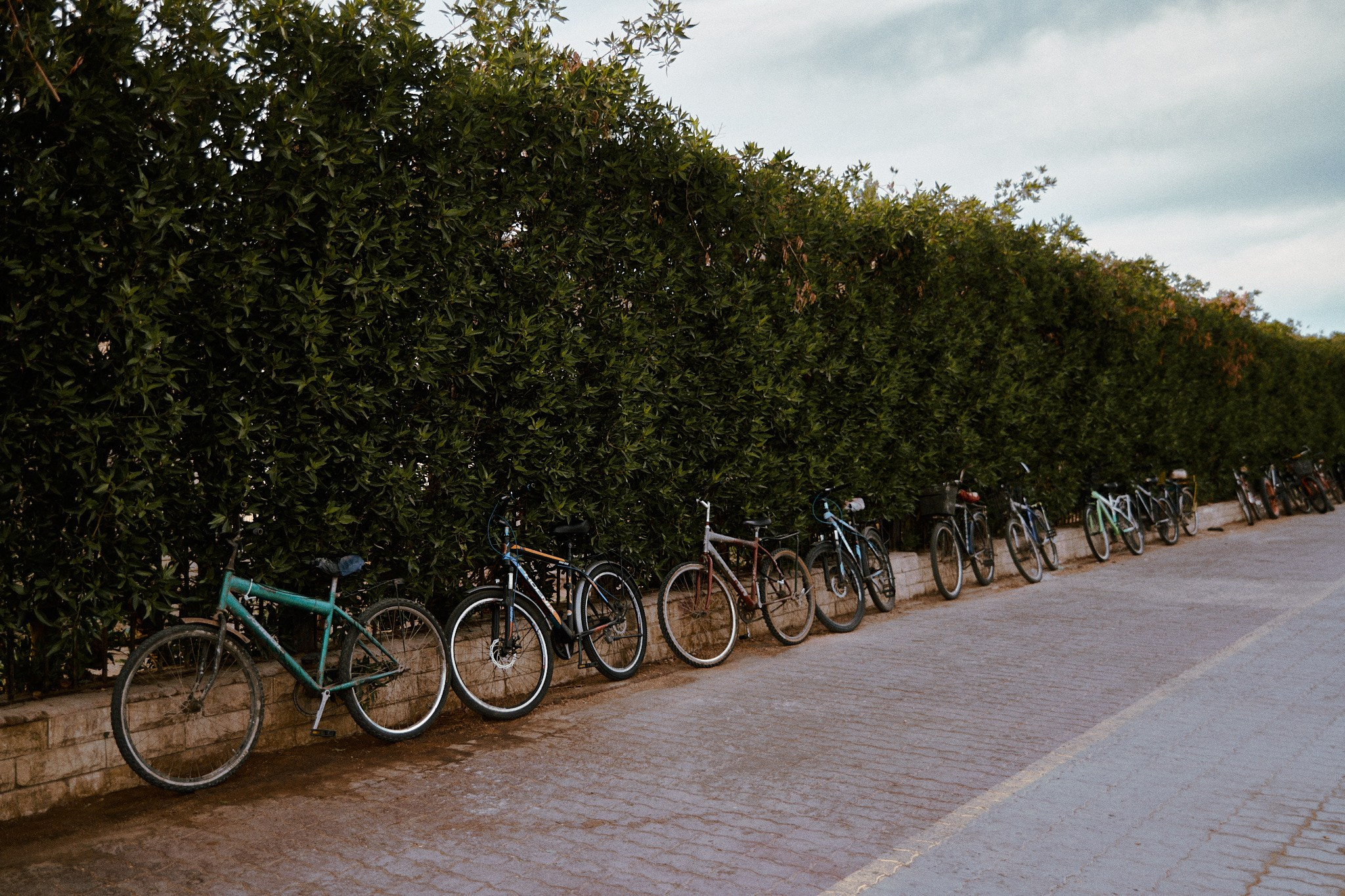 Улица горизонтальная. Jorgis — фотограф в Хургаде / обучение фотографии