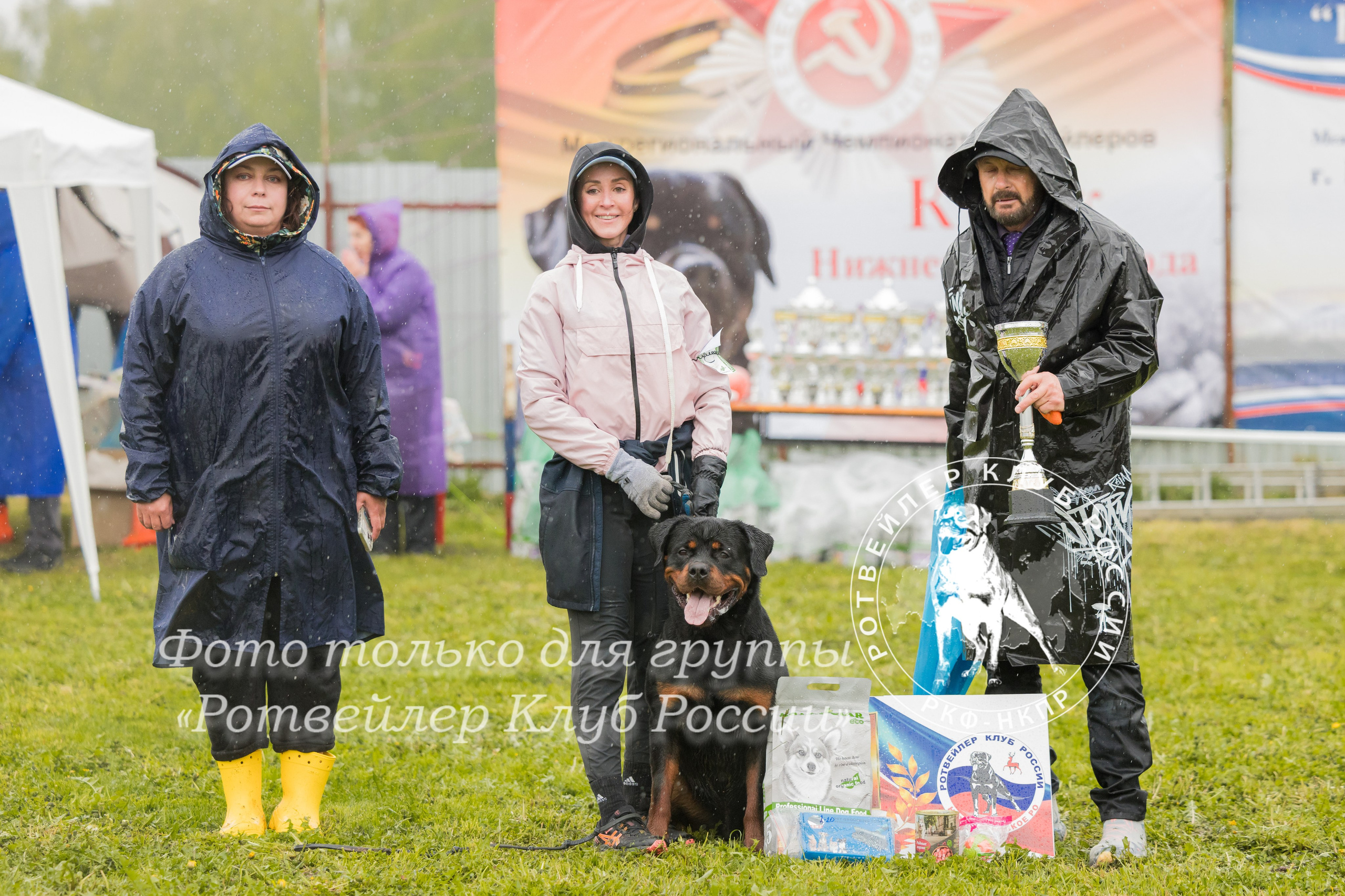 Нижний Новгород 2хмоно ротвейлеров 10-11.05.2025. Фотограф-анималист Юлия Германика