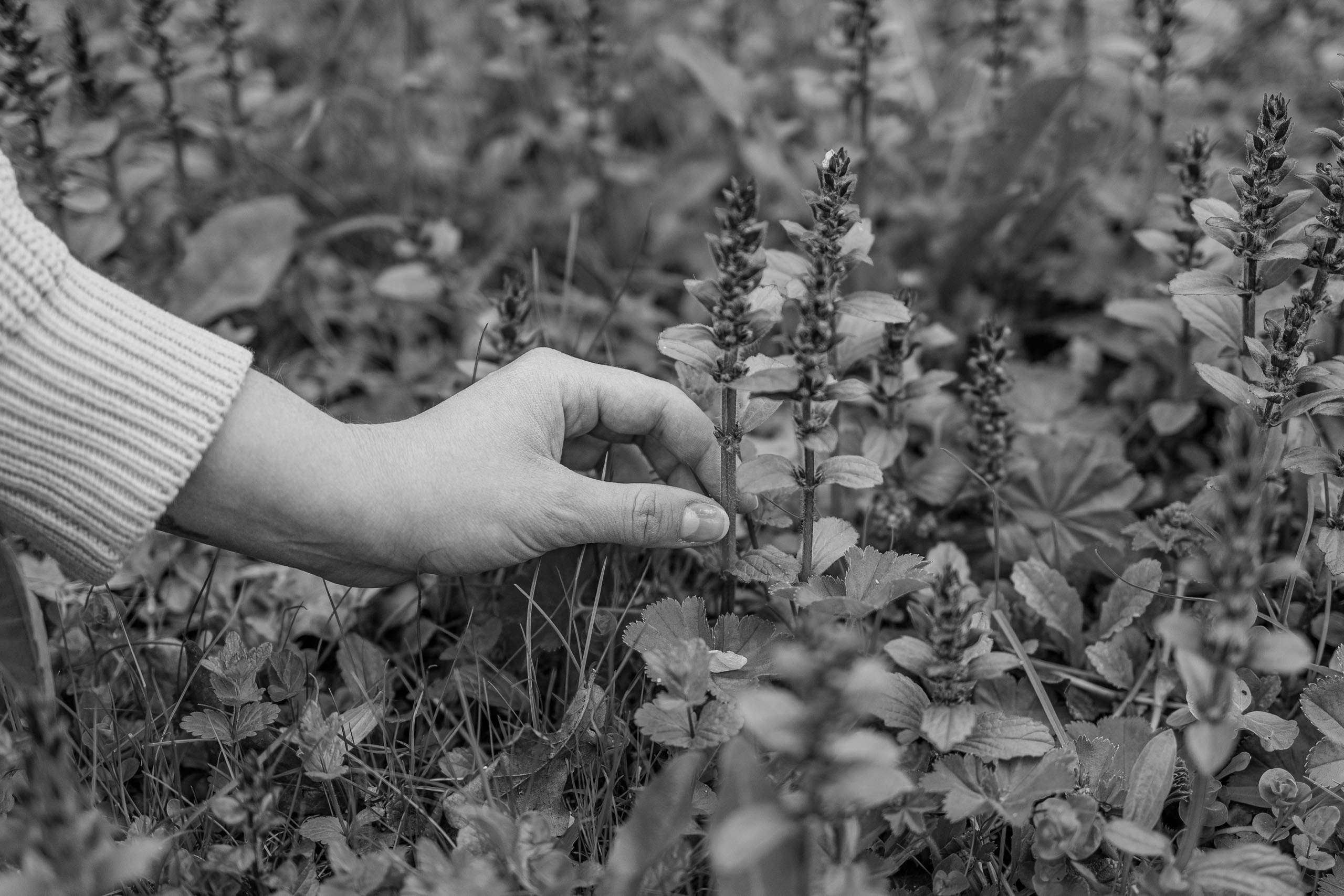 Фотоальбом с красивыми девушками (Часть 8)