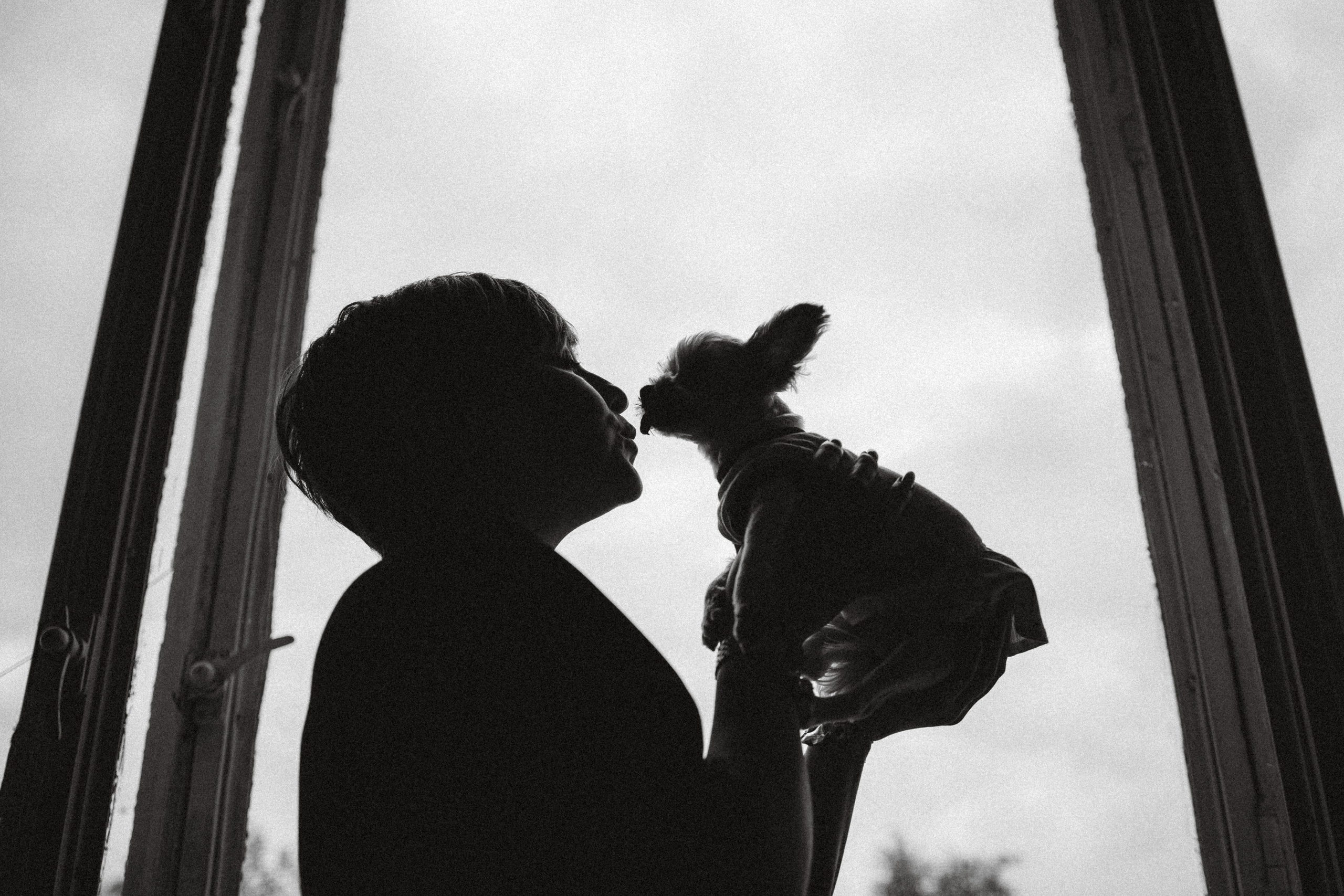 Джо, Мэйли и их семья. Семейный фотограф животных, анималист в Москве Екатерина Киреева