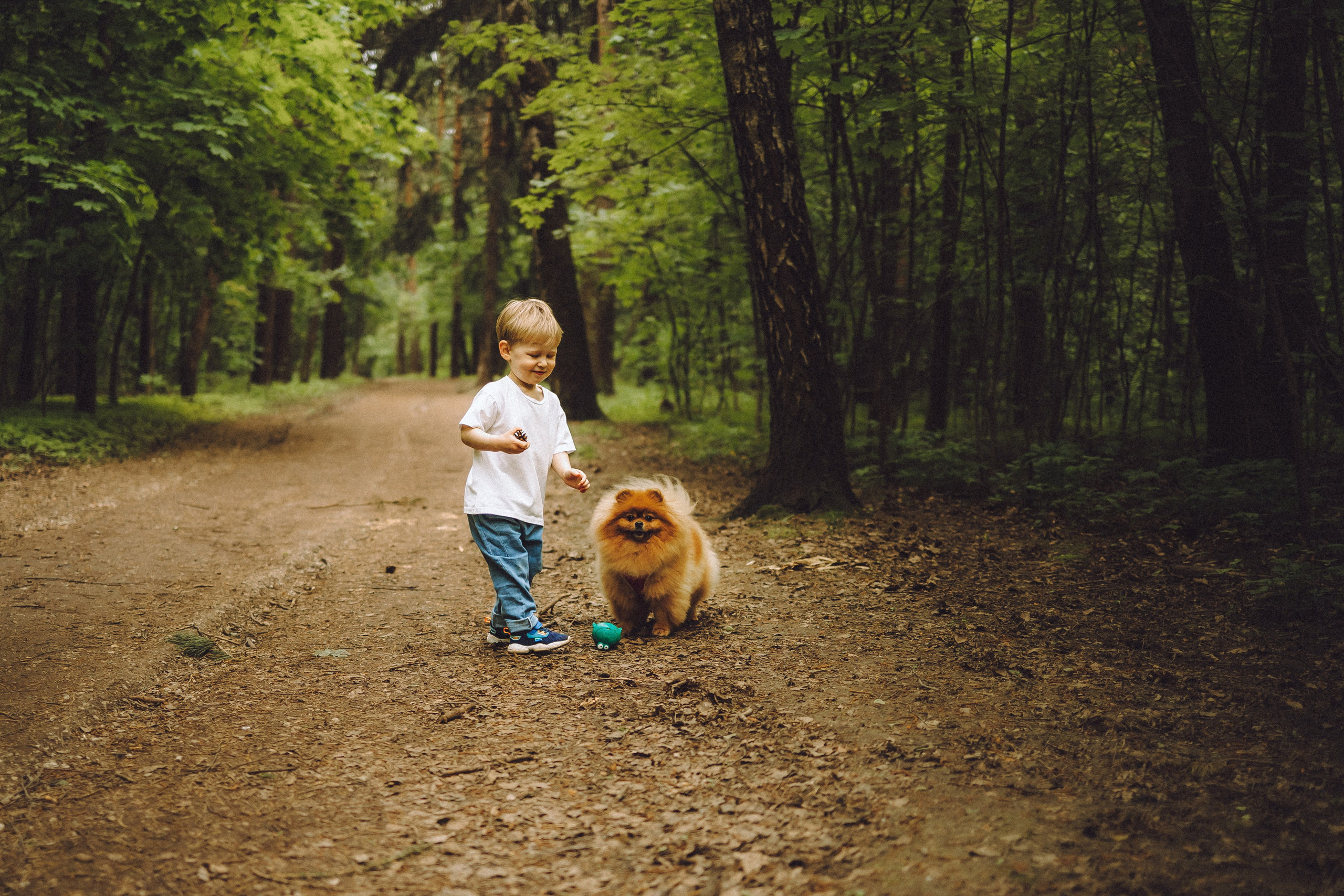 Лорик и его семья