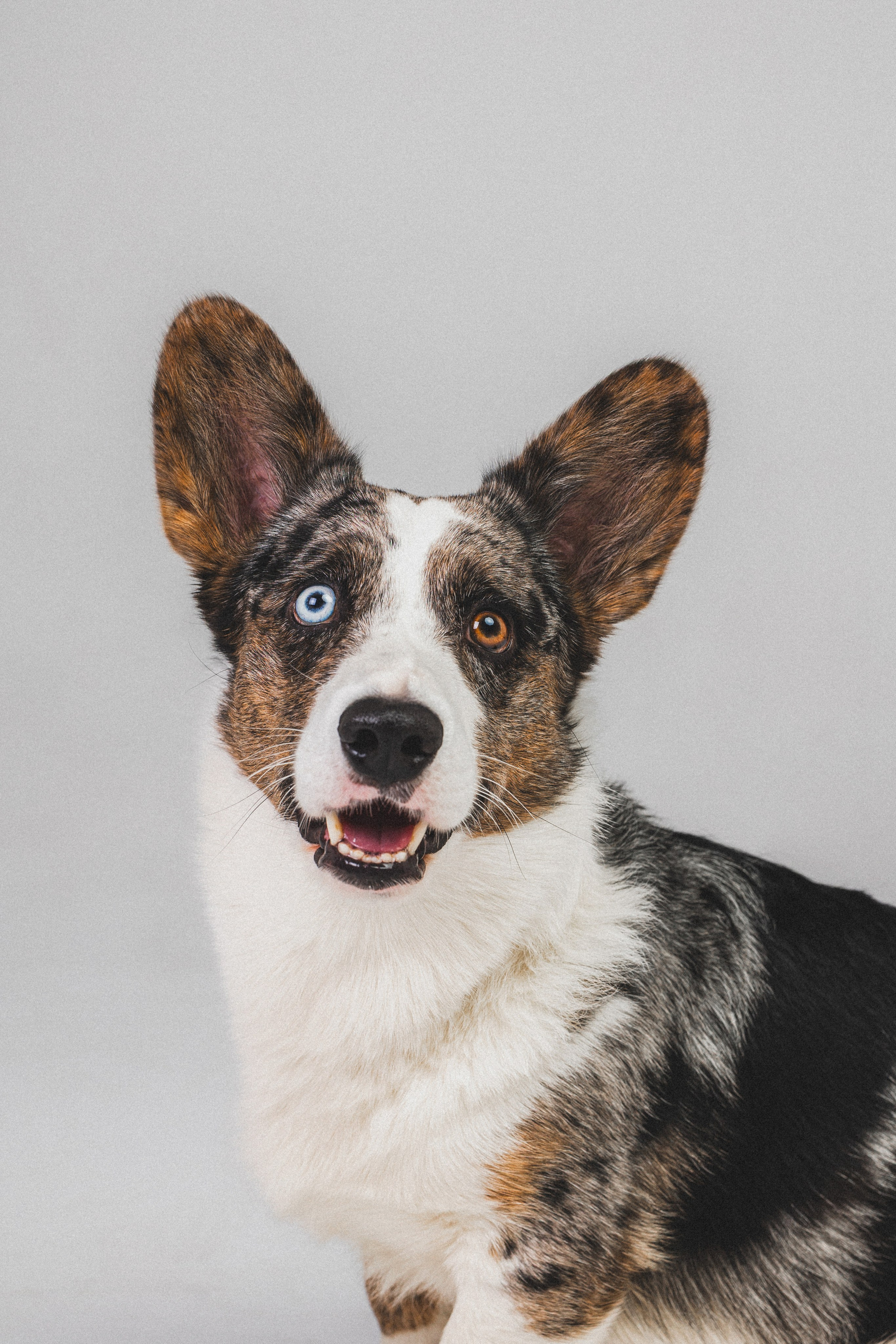 Анатолий и Рагнар