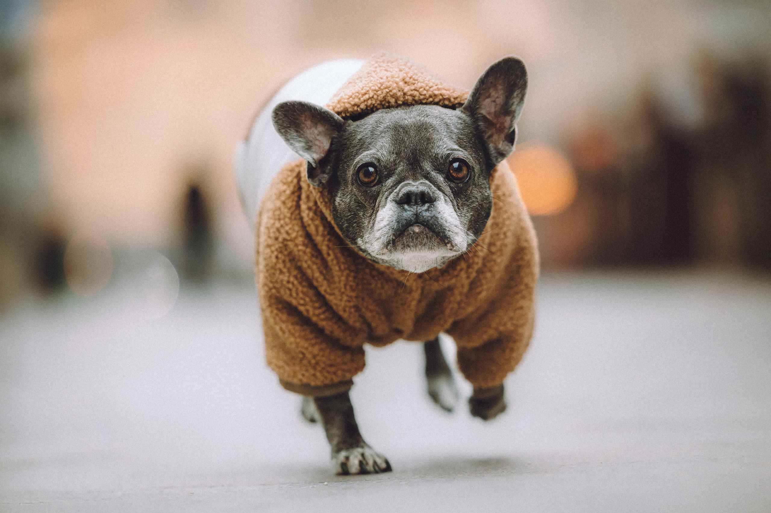 Юля, Вова и Моня