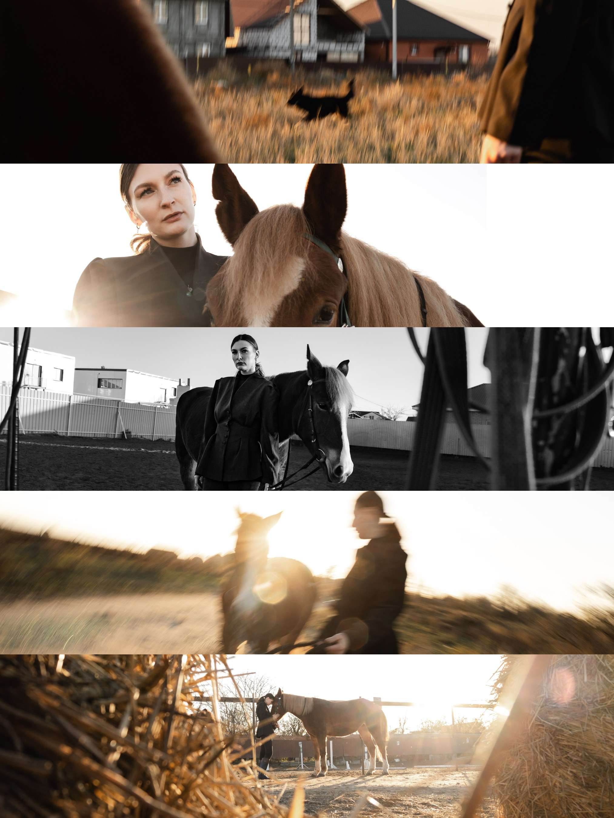 Daria and Bulka. Фотограф твоих воспоминаний | Алексей Алексеев