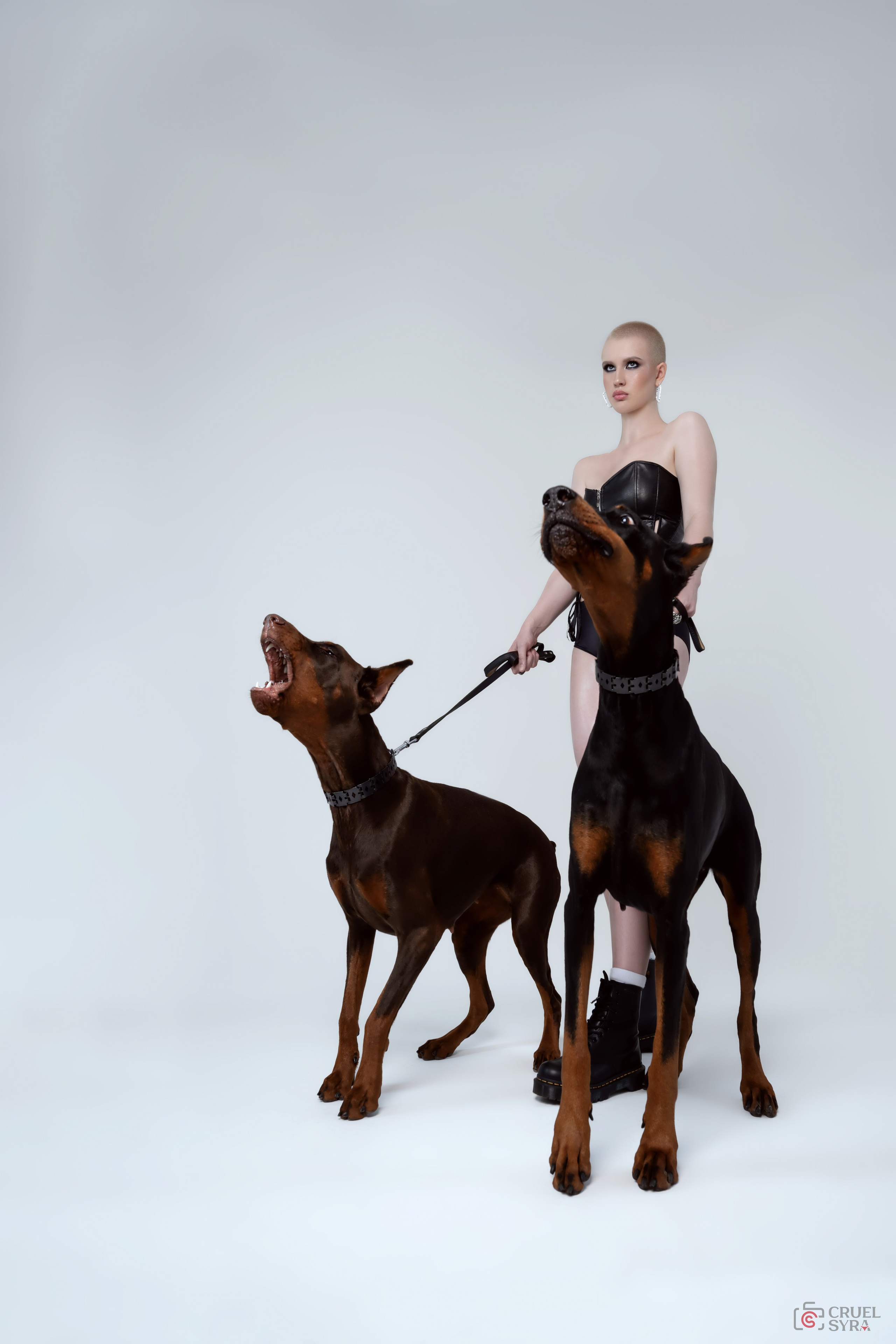 Doggies. Cruelsyra —фотограф в Хабаровске. Портретная и фэшн съемка