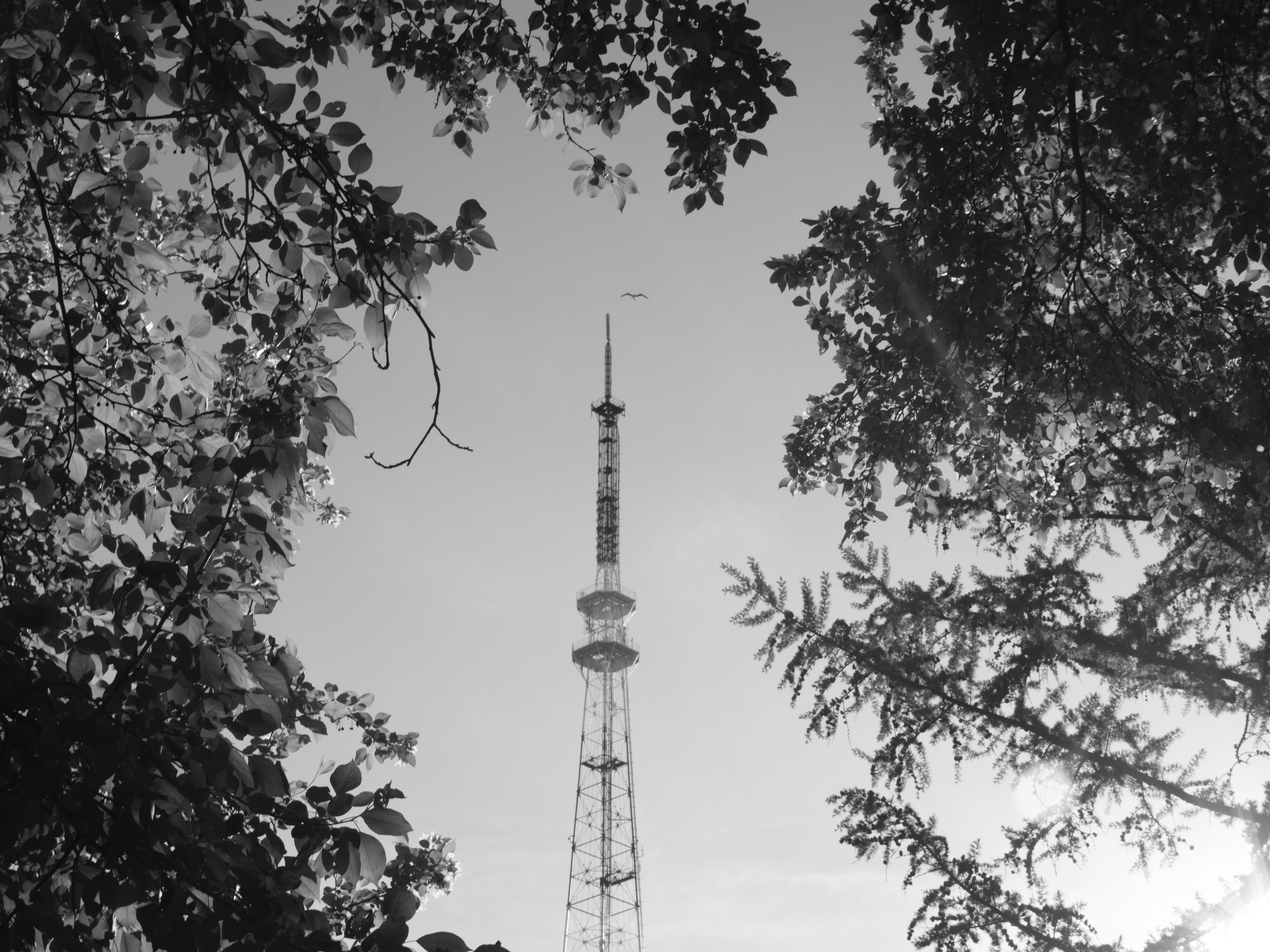Фотогпрогулка