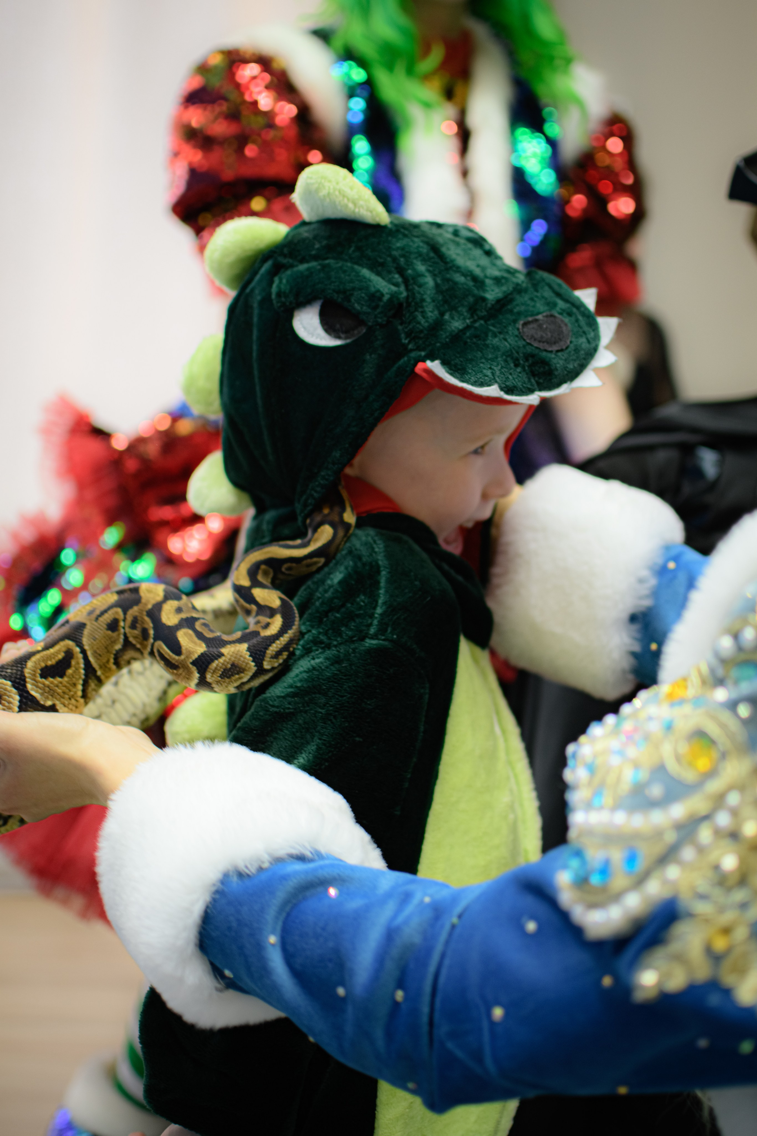 HAPPY NEW YEAR. Photokarish