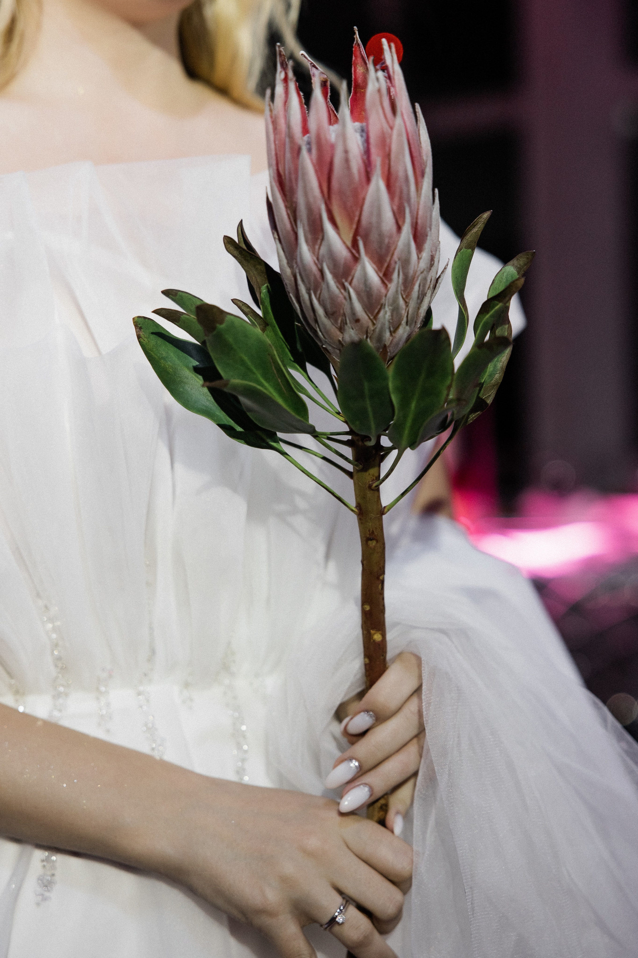 Максим и Алёна. Свадебный фотограф Полина Панина