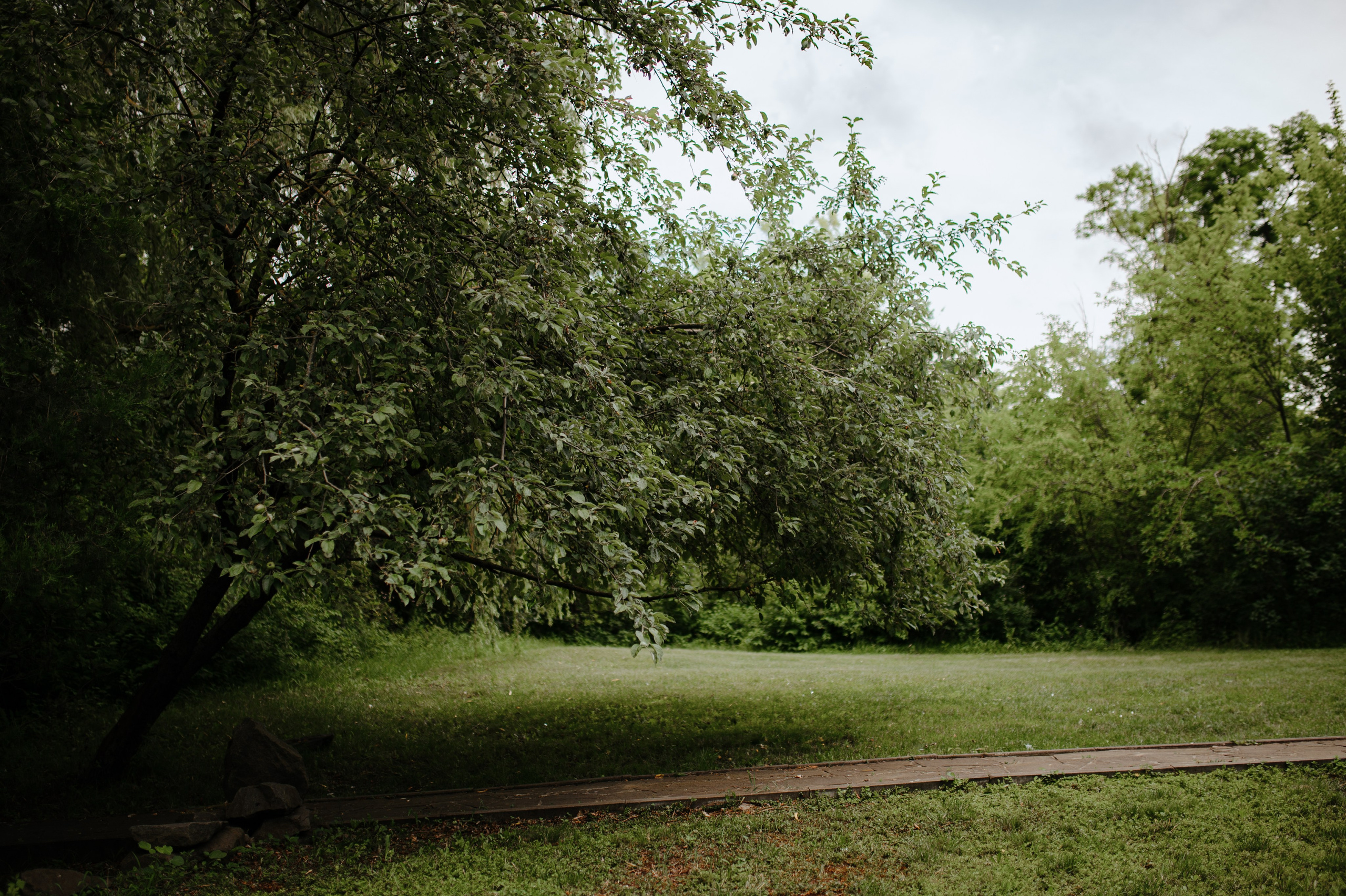 Съёмка свадебного декора. 100-й пруд. Свадебный фотограф Константинова Елена