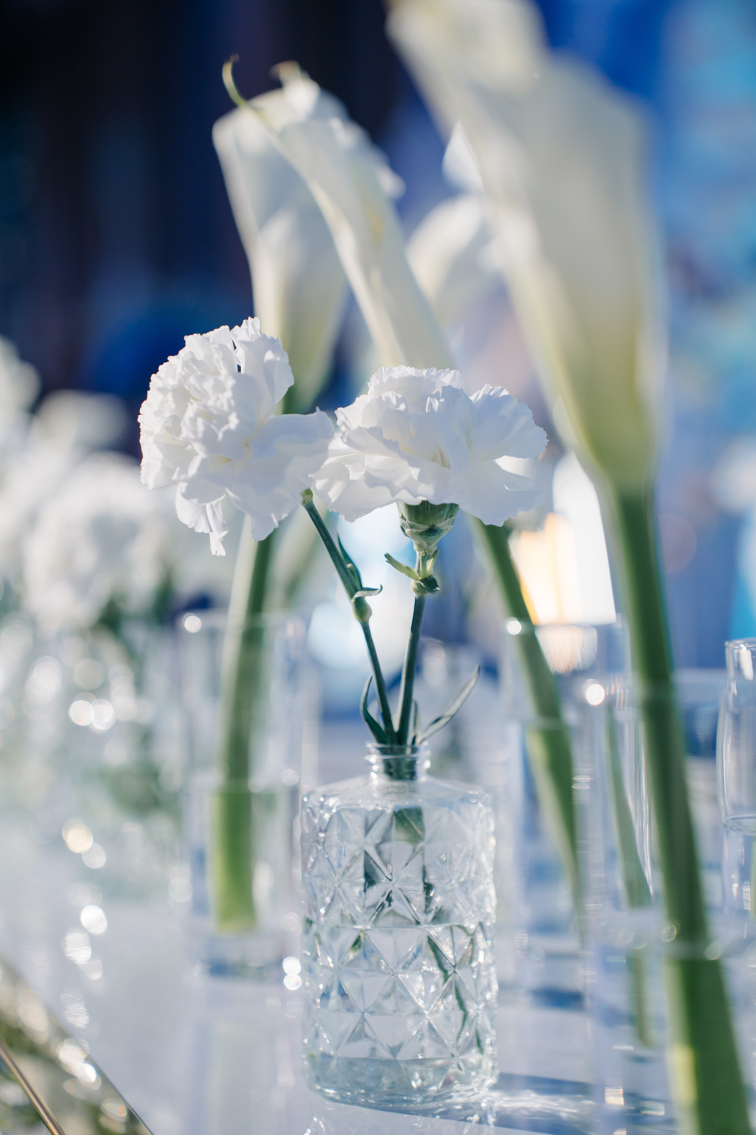 Miras & Aida (wedding). ___________________________________________________