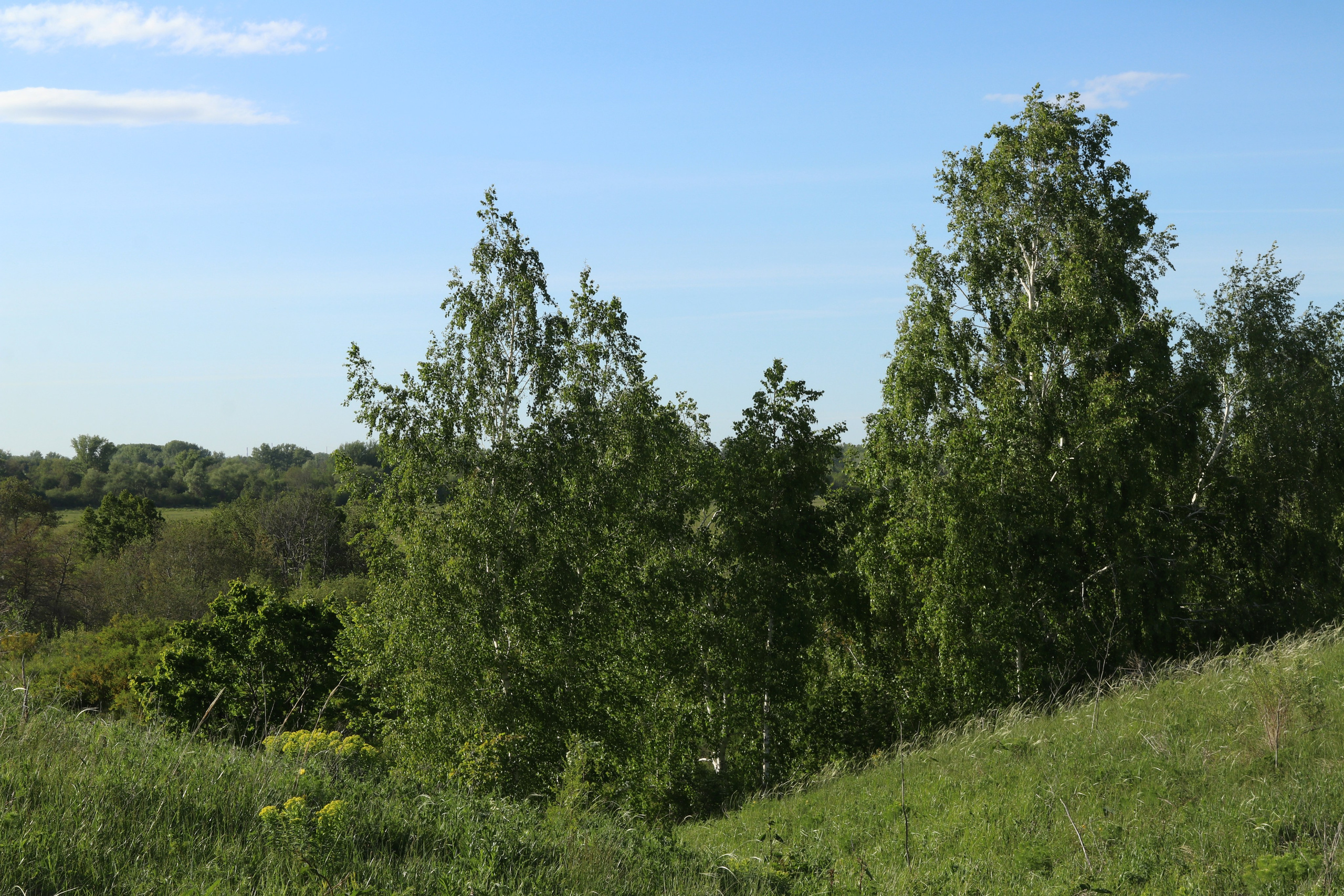 Велопоход Уфа — Мелеуз. Май 2024. Путешественник-фотограф из Санкт-Петербурга Татьяна Свистулина