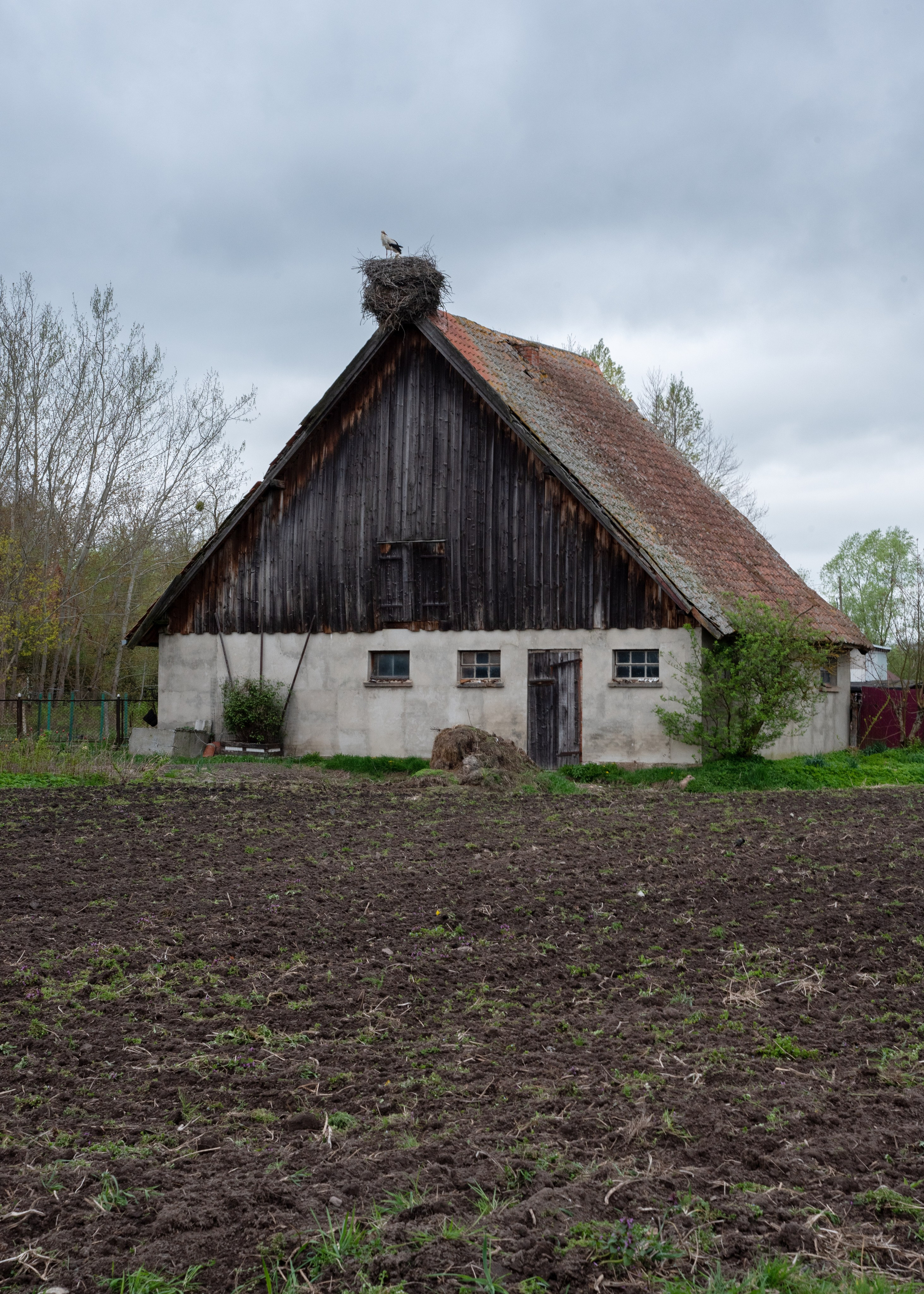 Калининград, Светлогорск. Фотограф Юлия Зимина