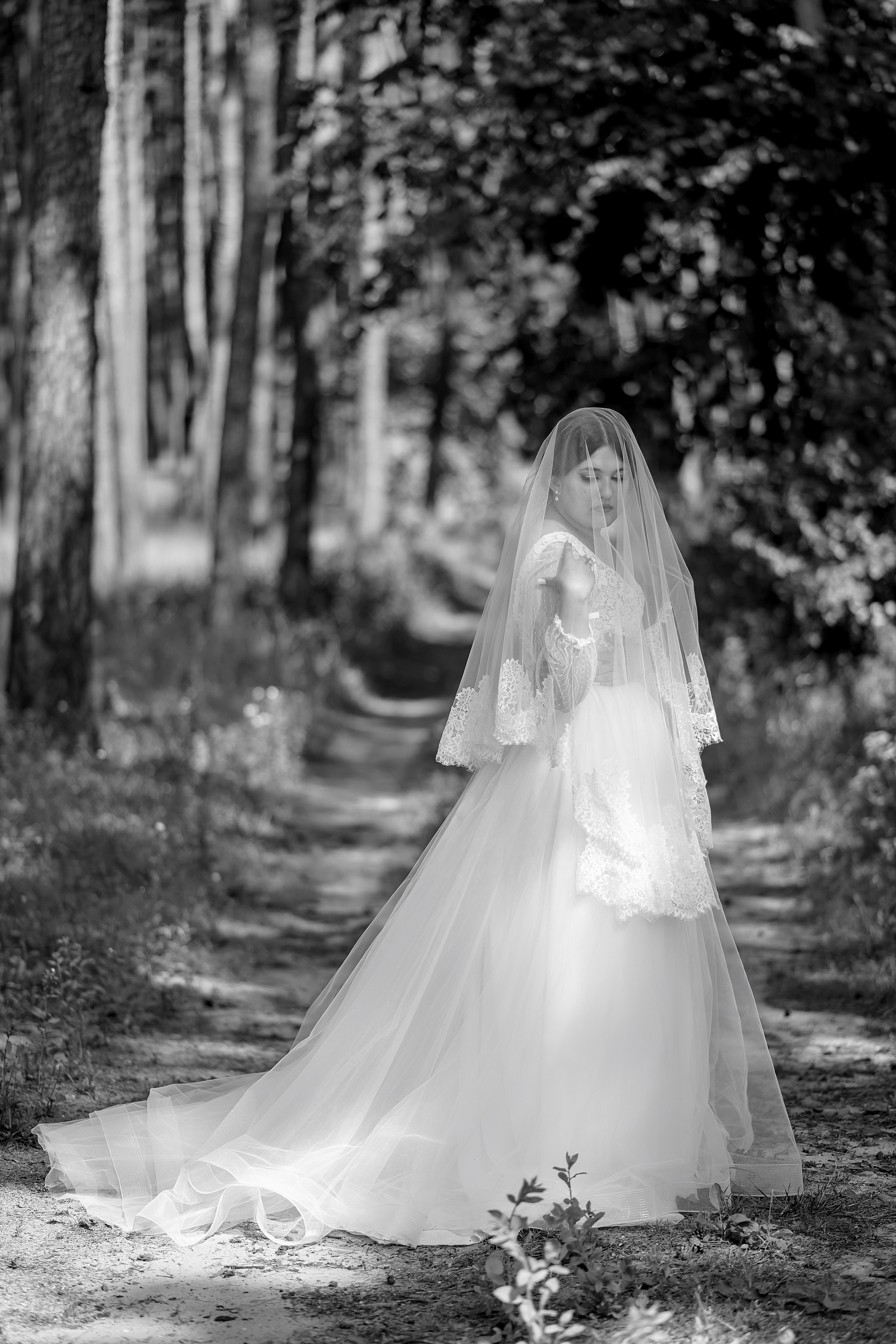 Софья и Юра. Свадебный фотограф Белгород Валуйки Старый Оскол Воронеж