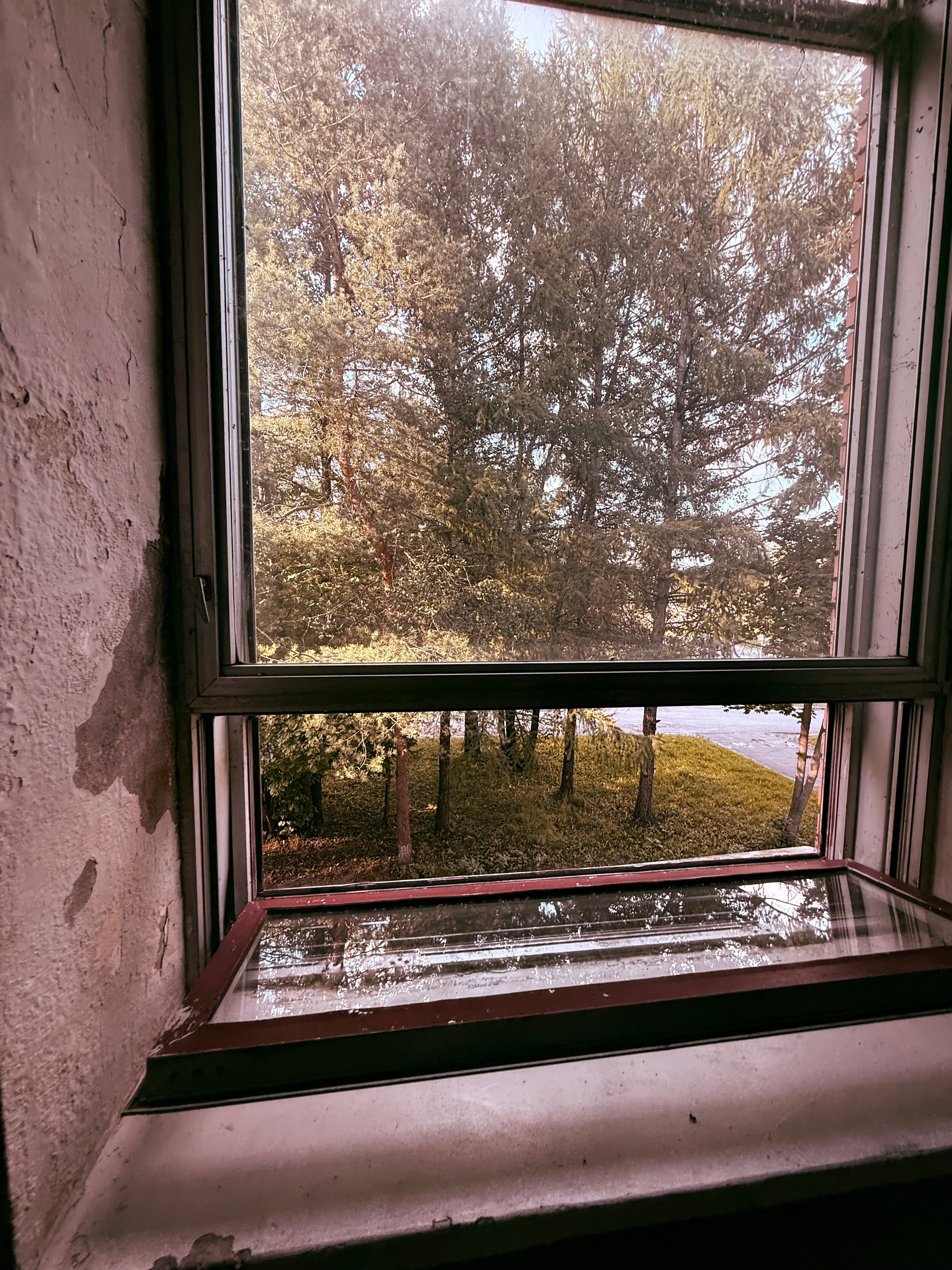 Nature. Фотограф Арсений Королев