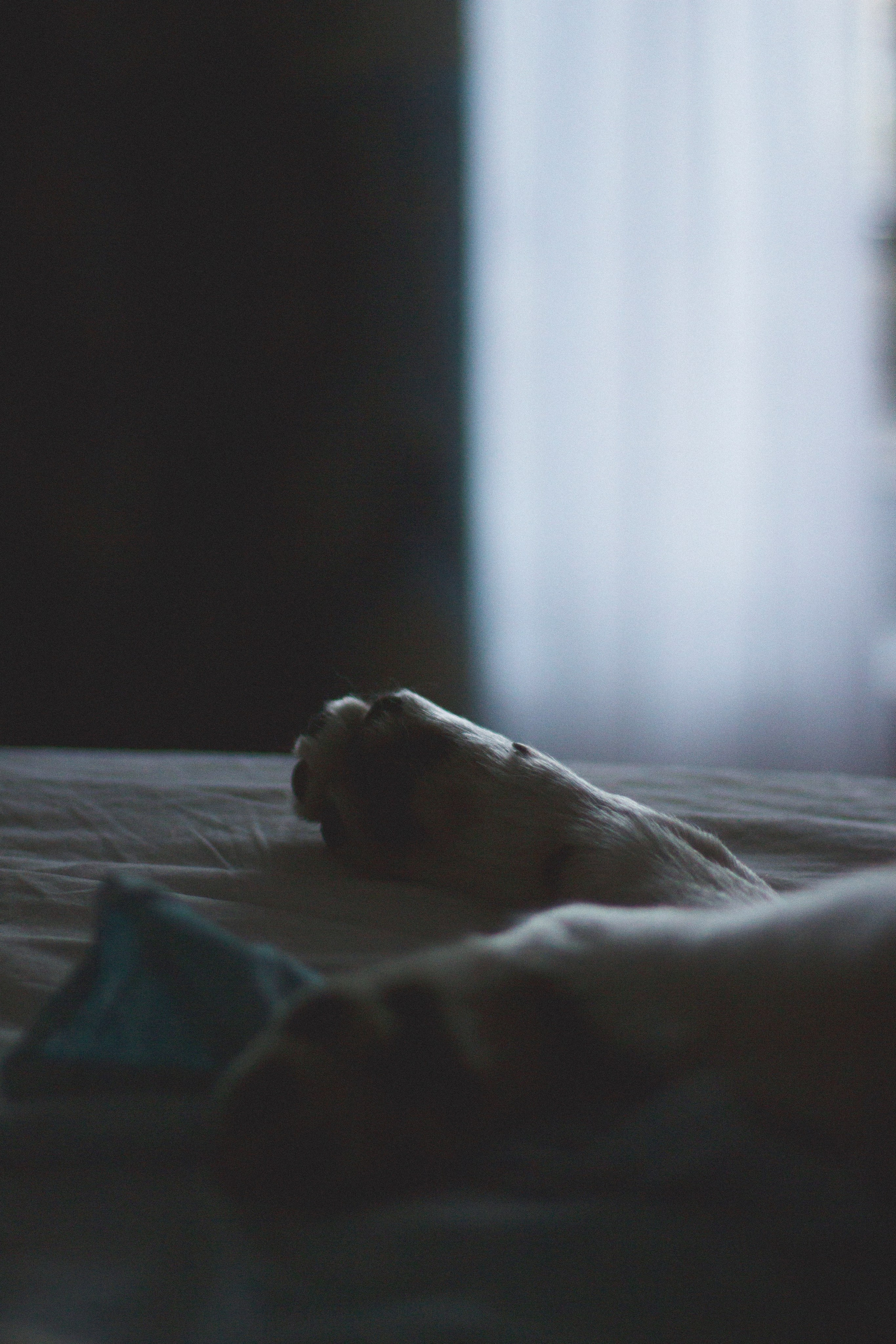 Марта. Фотограф Адигамова Юлия в Петербурге