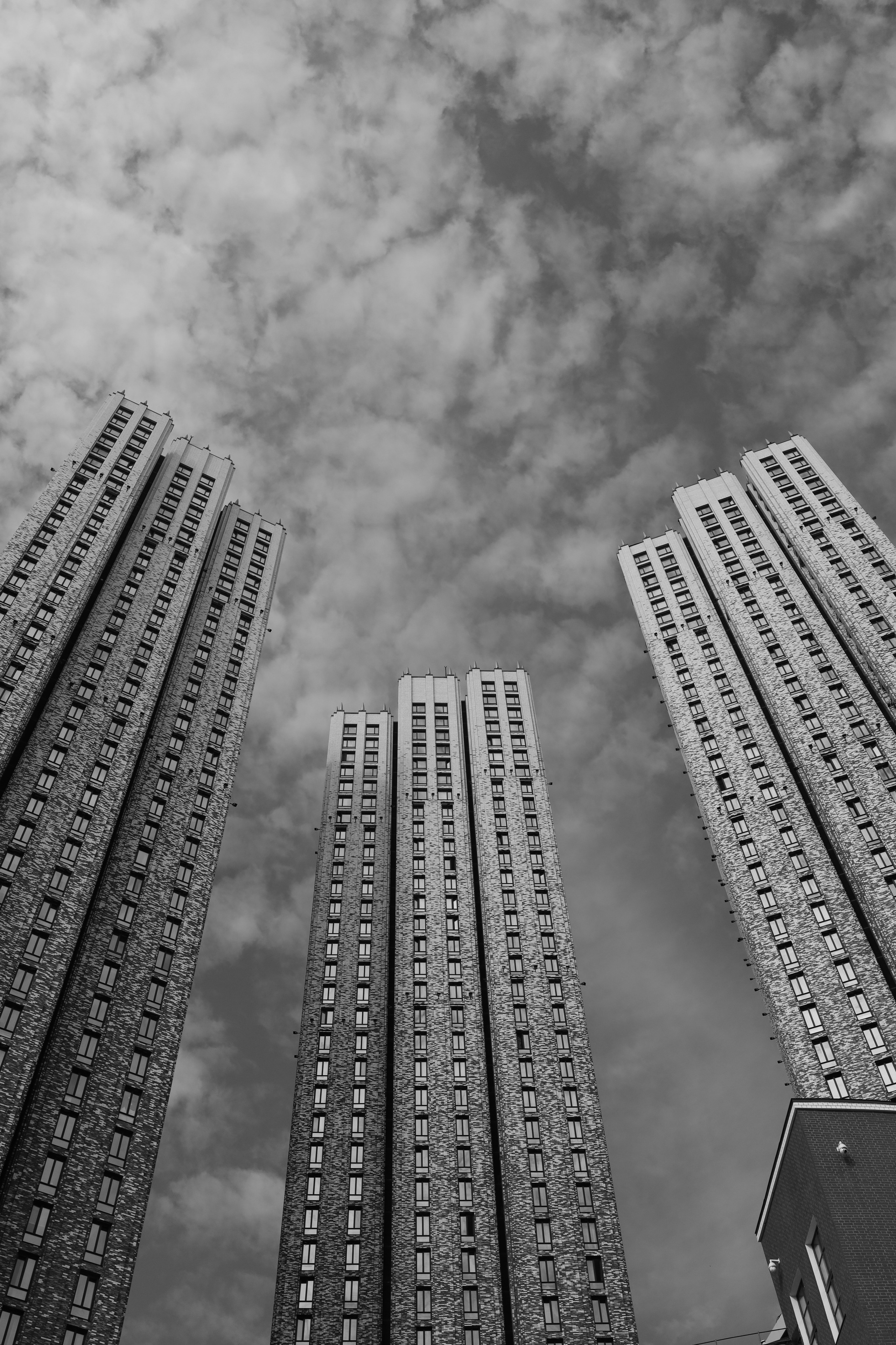 Black and white. Профессиональные фотосессии в Москве| Евгения Черенкова